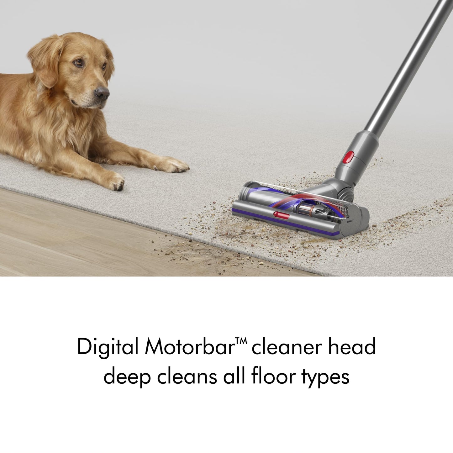Dyson V15 Detect Plus Cordless Vacuum, Illumination Reveals dust, 240AW, 3 Power Modes, Up to 60 Minutes,² Deep Cleans Hard Floors and Carpets, Detangles pet Hair, Converts to Handheld