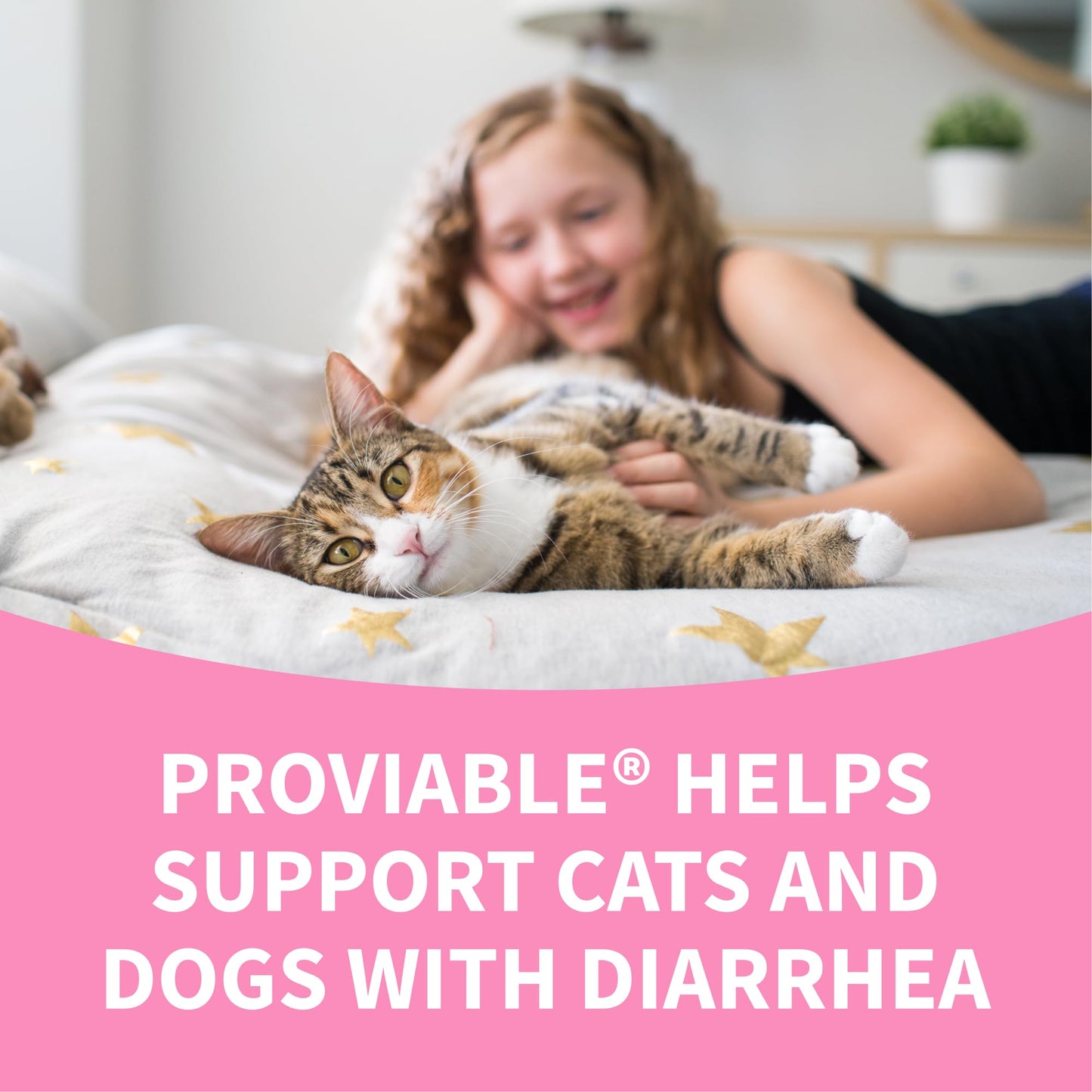 Nutramax Proviable Probiotics for Dogs and Cats, Daily Digestive Health Supplement with Multiple Strains of Bacteria, Cat and Dog Probiotics Plus Prebiotics, 30 Capsules