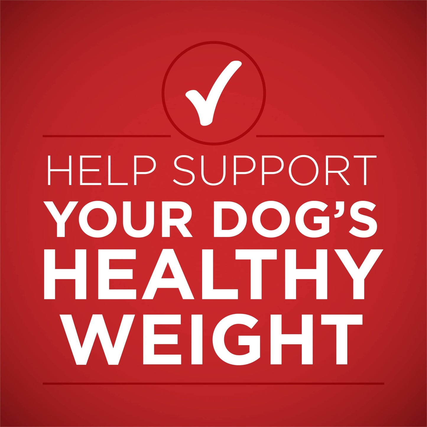 Purina ONE Classic Ground Chicken and Brown Rice, and Beef and Brown Rice Entrees Wet Dog Food Variety Pack - (Pack of 6) 13 oz. Cans