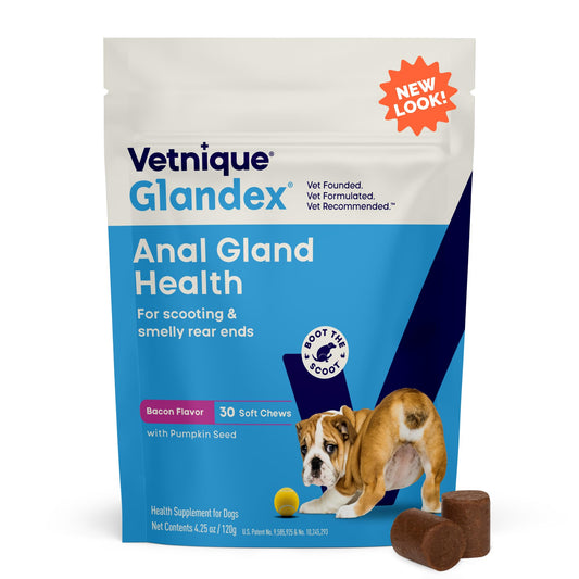 Vetnique Glandex Anal Gland Soft Chew Treats with Pumpkin for Dogs Digestive Enzymes, Probiotics Fiber Supplement for Dogs Boot The Scoot (Peanut Butter Chews, 60 Count)