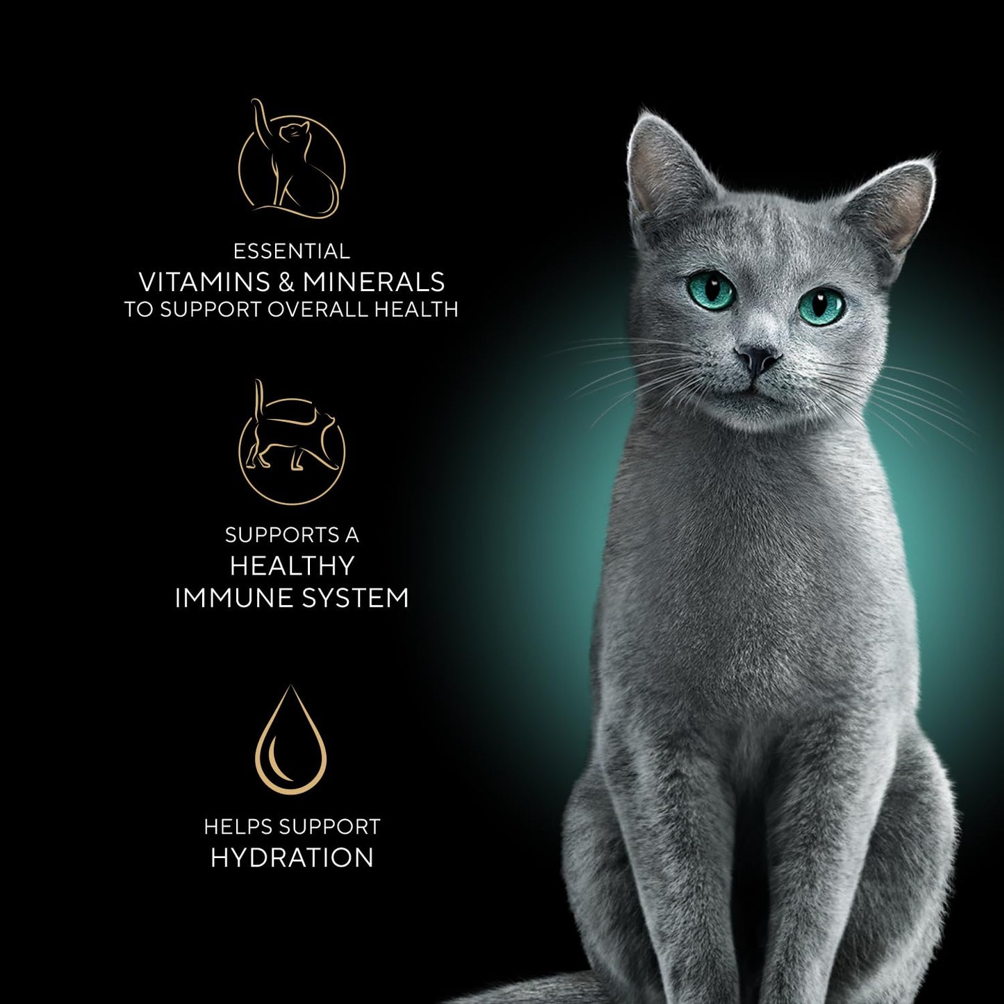 Sheba Perfect Portions Wet Cat Food Cuts in Gravy, Roasted Chicken Entree, with Sustainable Salmon, Tender Turkey Entree, 2.6 oz. Twin-Pack Trays (24 Count, 48 Servings)