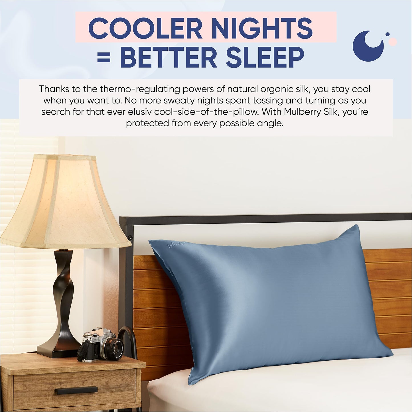 Blissy Silk Pillowcase - 100% Pure Mulberry Silk - 22 Momme 6A High-Grade Fibers - Silk Pillow Cover for Hair & Skin - Regular, Queen & King (Blissy White, Standard)