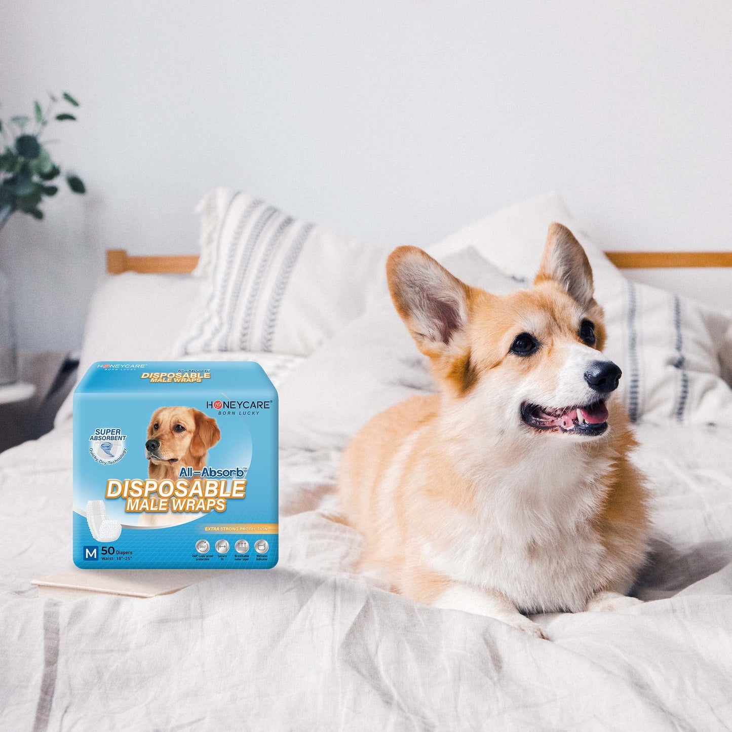 HONEY CARE All-Absorb A26 Male Dog Wrap, 50 Count, Small