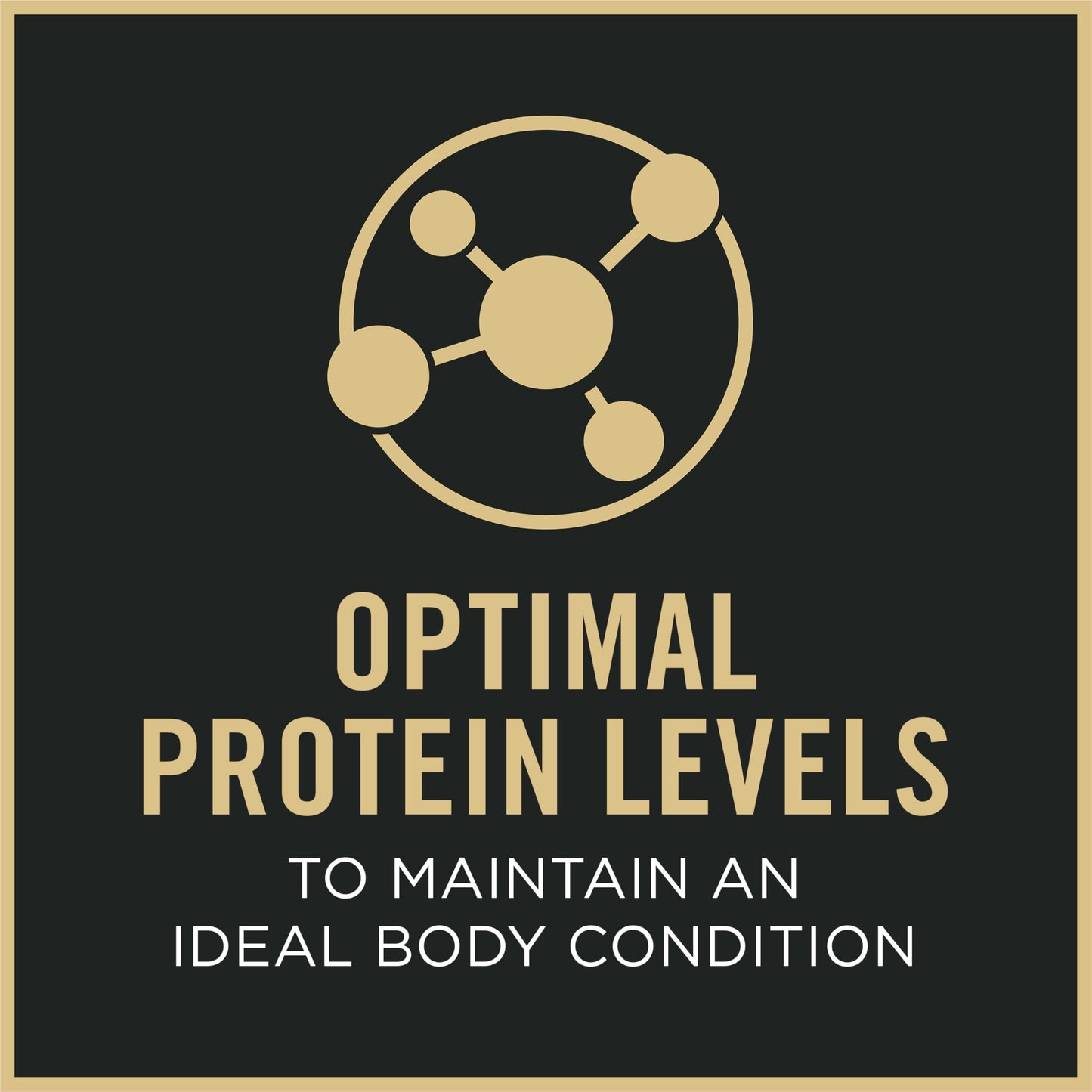 Purina Pro Plan Complete Essentials Shredded Blend Chicken and Rice Dog Food Dry Formula with Probiotics for Dogs - 35 lb. Bag