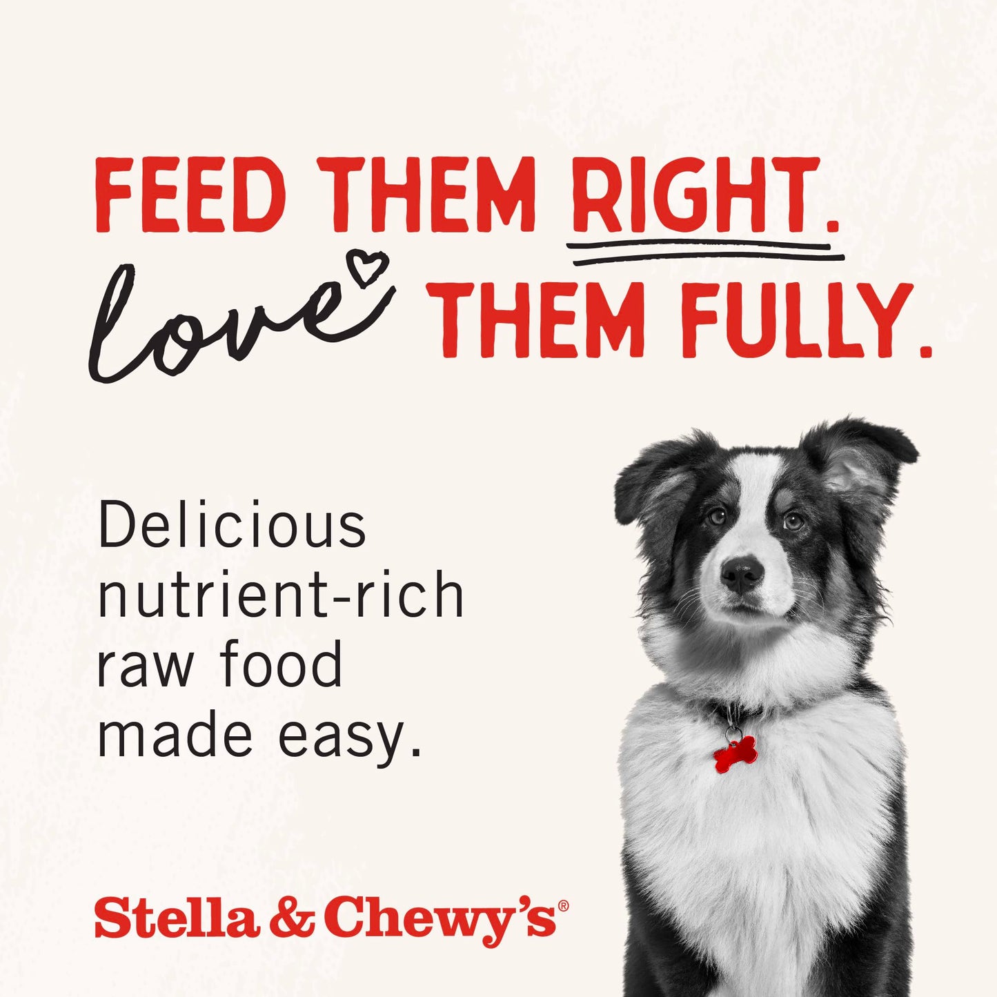 Stella & Chewy's Freeze-Dried Raw Chicken Meal Mixers- Dog Food Topper and Mixer - Made with 95% Cage-Free Chicken, Organs & Bone - Perfect for Picky Eaters - Grain-Free - 3.5oz