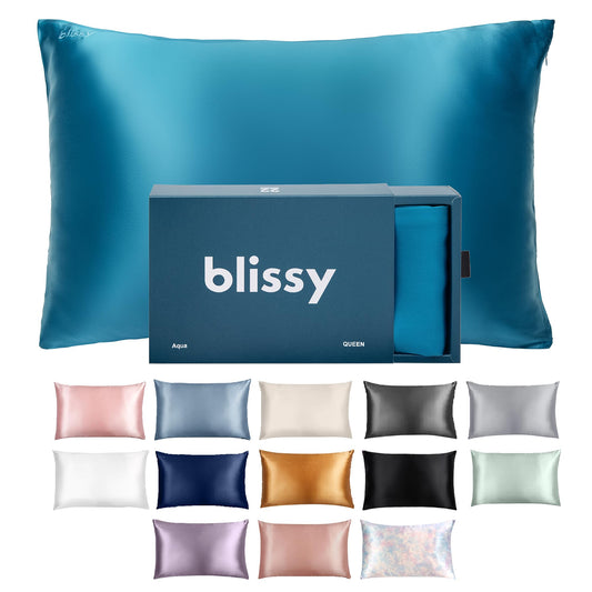 Blissy Silk Pillowcase - 100% Pure Mulberry Silk - 22 Momme 6A High-Grade Fibers - Silk Pillow Cover for Hair & Skin - Regular, Queen & King (Blissy White, Standard)