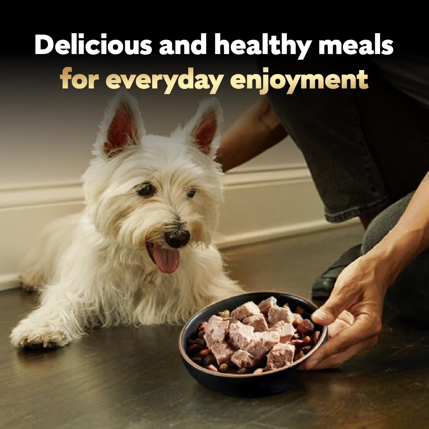 Cesar Wet Dog Food Classic Loaf in Sauce Grilled Chicken, Filet Mignon, Porterhouse Steak, Beef, Chicken & Liver and Turkey Variety Pack 3.5 oz. Easy Peel Trays (36 Count, Pack of 1)