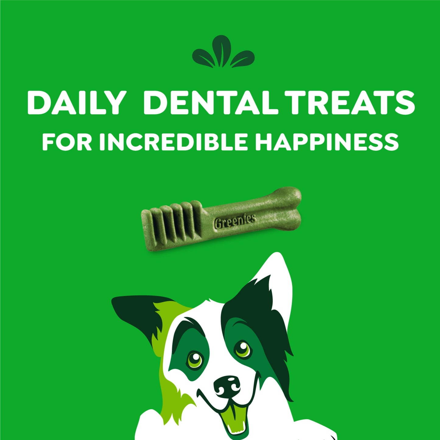 Greenies Veterinarian-Recommended Adult Natural Dental Dog Treats Regular Size, Original Flavor, 36 oz. Pack, 36 Count