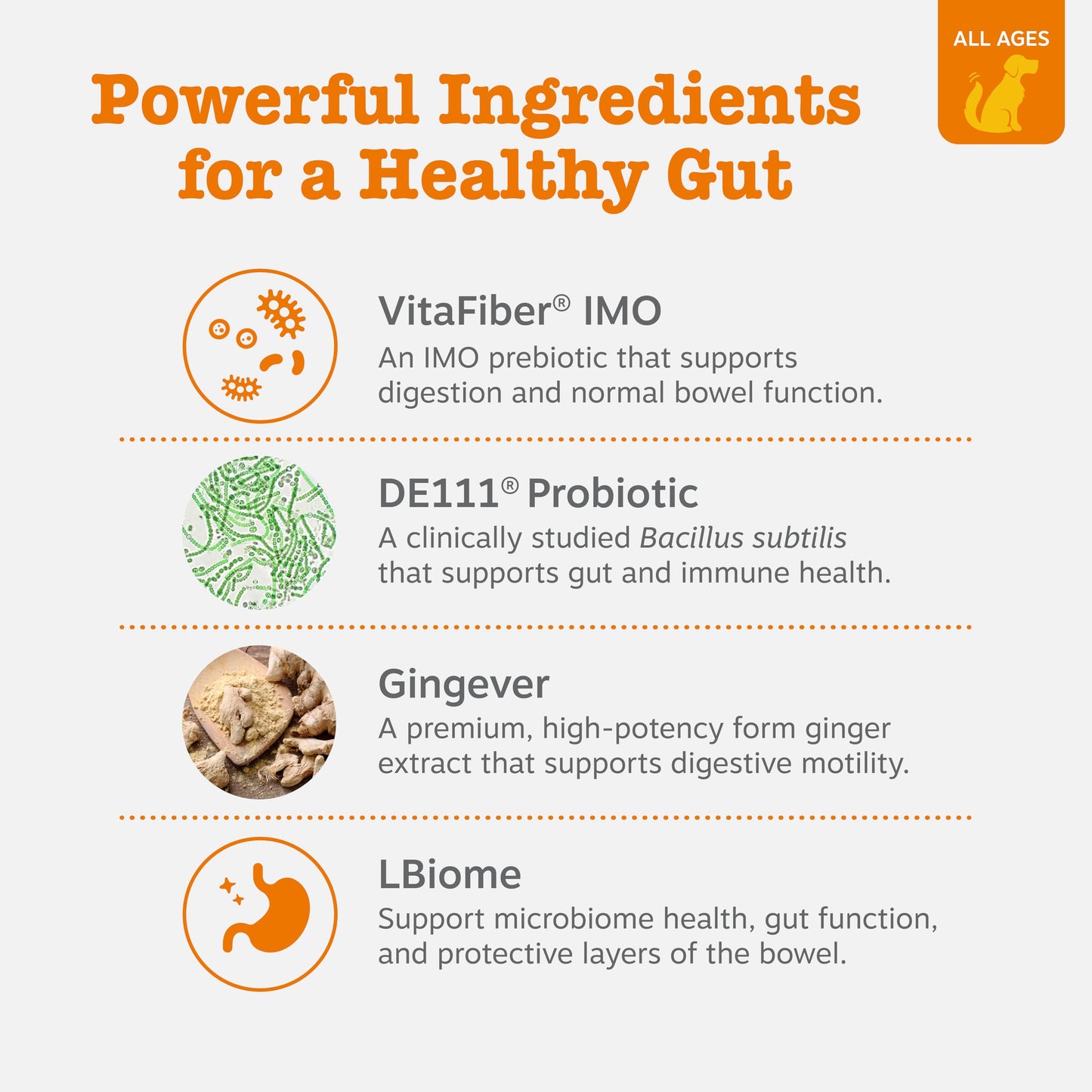 Zesty Paws Probiotics for Dogs - Digestive Enzymes for Gut Flora, Digestive Health, Diarrhea & Bowel Support - Clinically Studied DE111 - Dog Supplement Soft Chew for Pet Immune System - Pumpkin