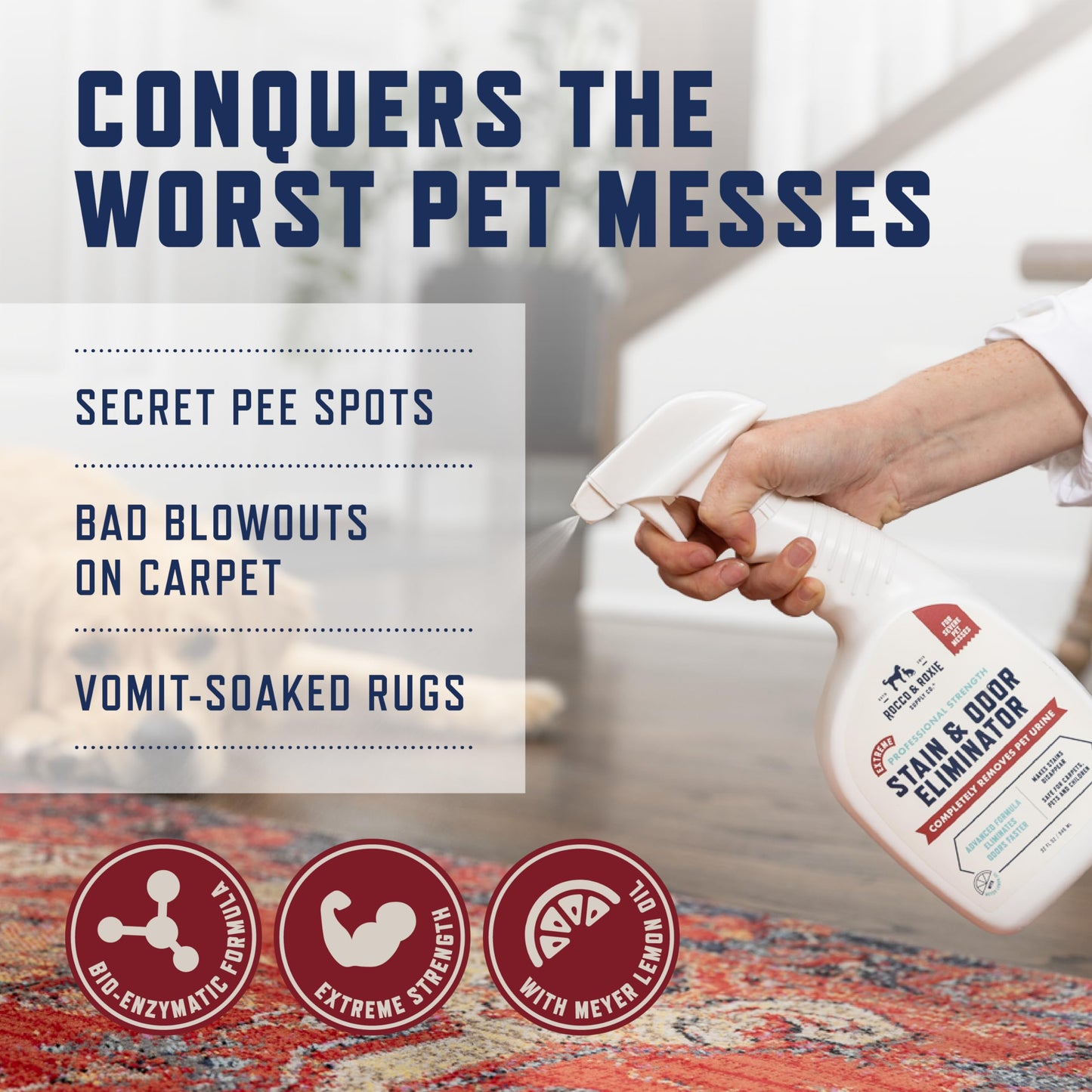 Rocco & Roxie Supply Co. Stain & Strong Odor Eliminator, Enzyme Cleaner, Pet Odor Eliminator for Home - Carpet Stain Remover for Cats & Dog Pee - Urine Destroyer - Carpet Cleaner Spray Clear, 32 Fl Oz