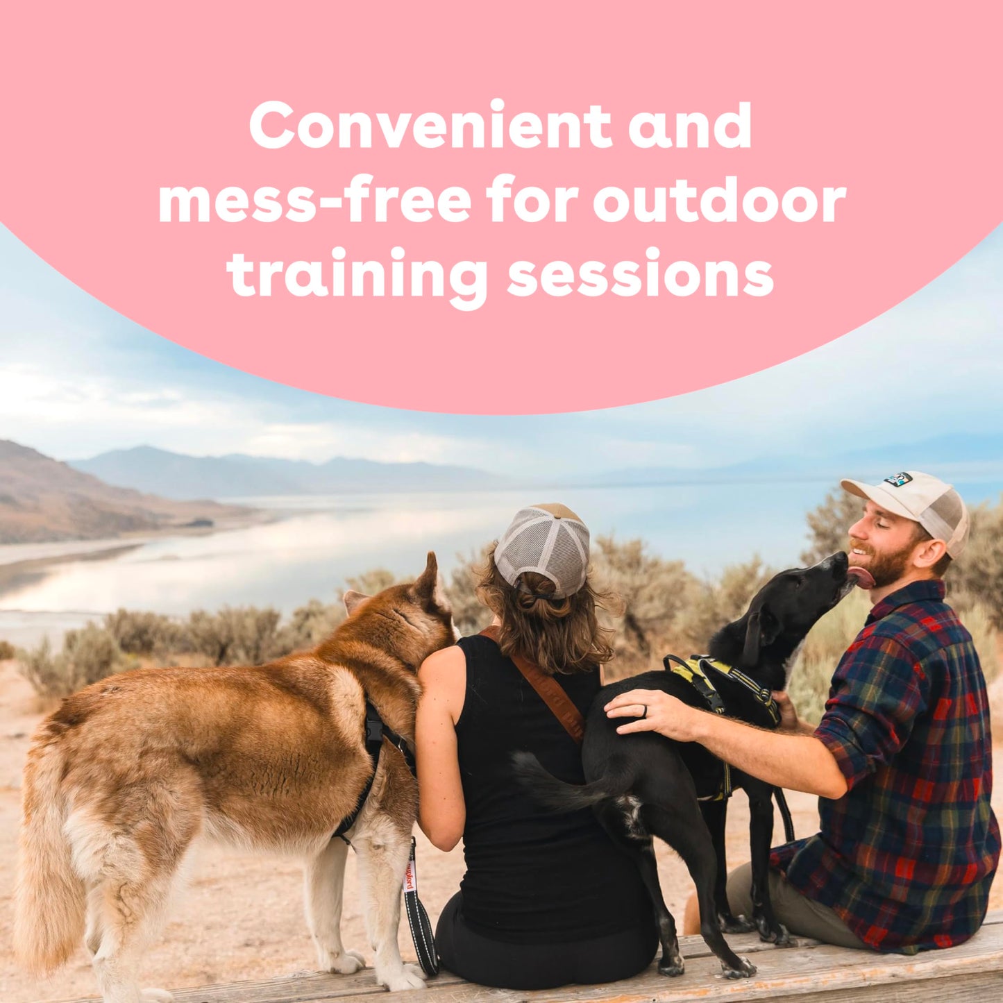 Pupford Freeze Dried Training Treats for Dogs & Puppies, 475+ Three Ingredient Bites (Beef Liver, 4 oz)