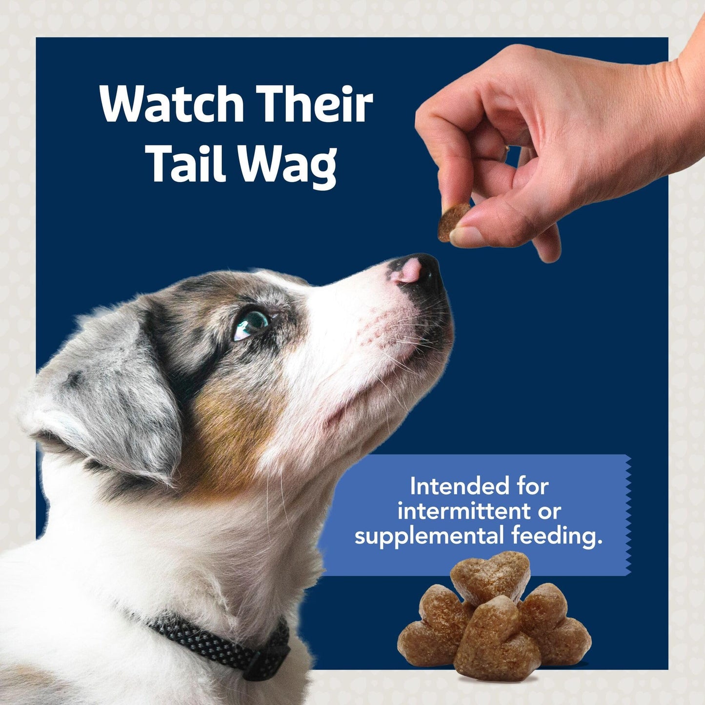 Blue Buffalo Bits Soft Dog Treats for Training, Made With Natural Ingredients & Enhanced with DHA, Chicken Recipe, 19-oz Bag