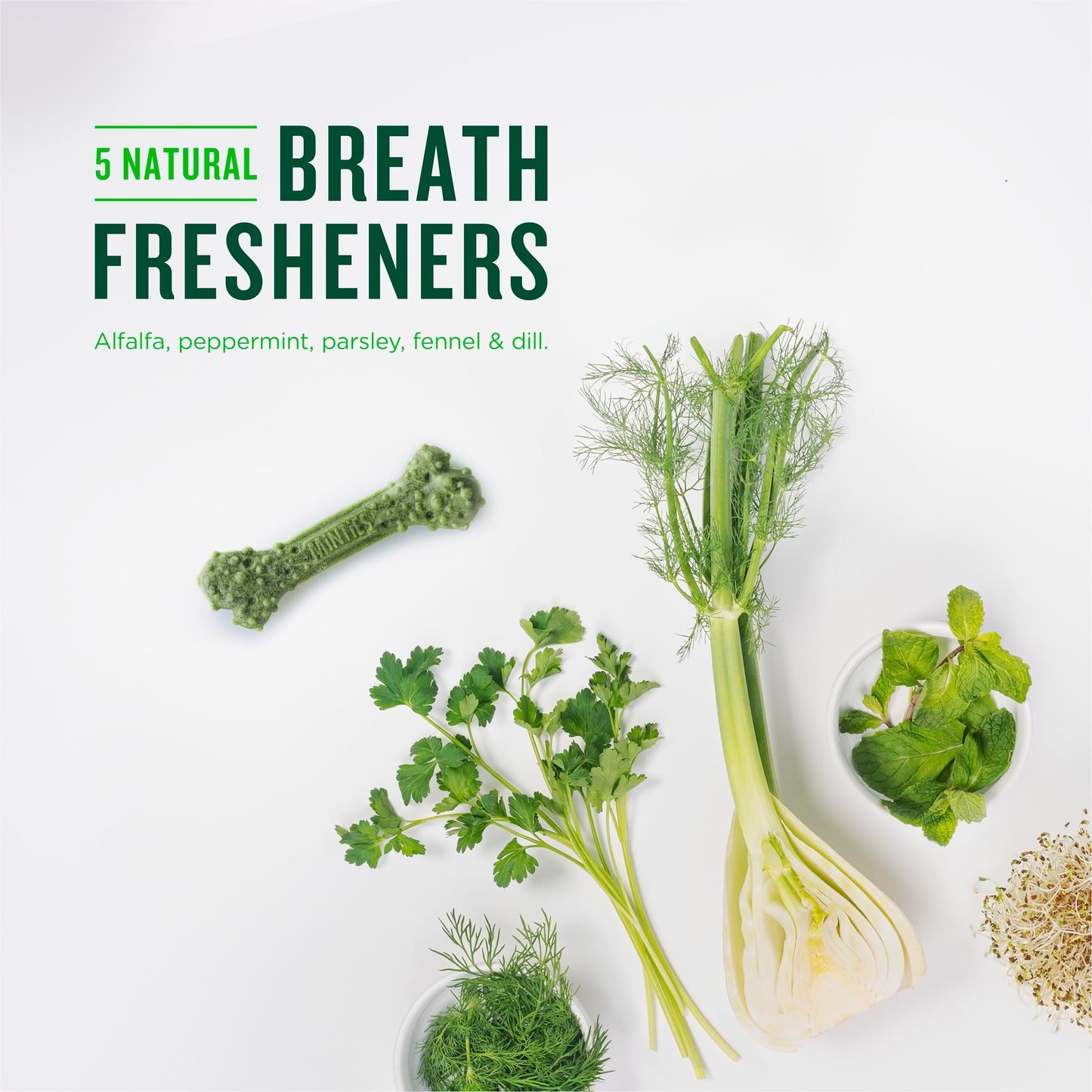 Minties Dog Dental Bone Treats, Tiny/Small Dental Dog Treats, 16 Ounces, Cleans Teeth, Fight Bad Breath, Removes Plaque and Tartar, 16 Count