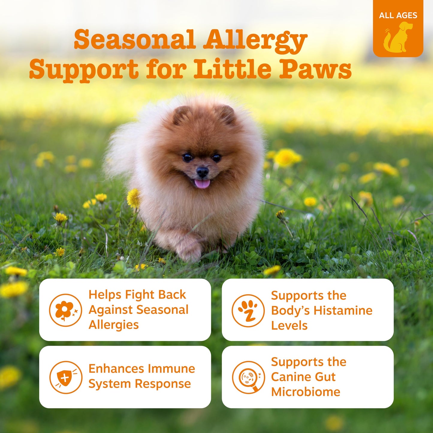 Zesty Paws Dog Allergy Relief- Dog Itching Skin Relief- Dog Probiotics for Itchy Skin and Itchy Ears- Dog Allergy Paw Relief- Dog Allergy Chews- Dog Itch Relief - Dog Skin Allergy Relief - Lamb - 90ct