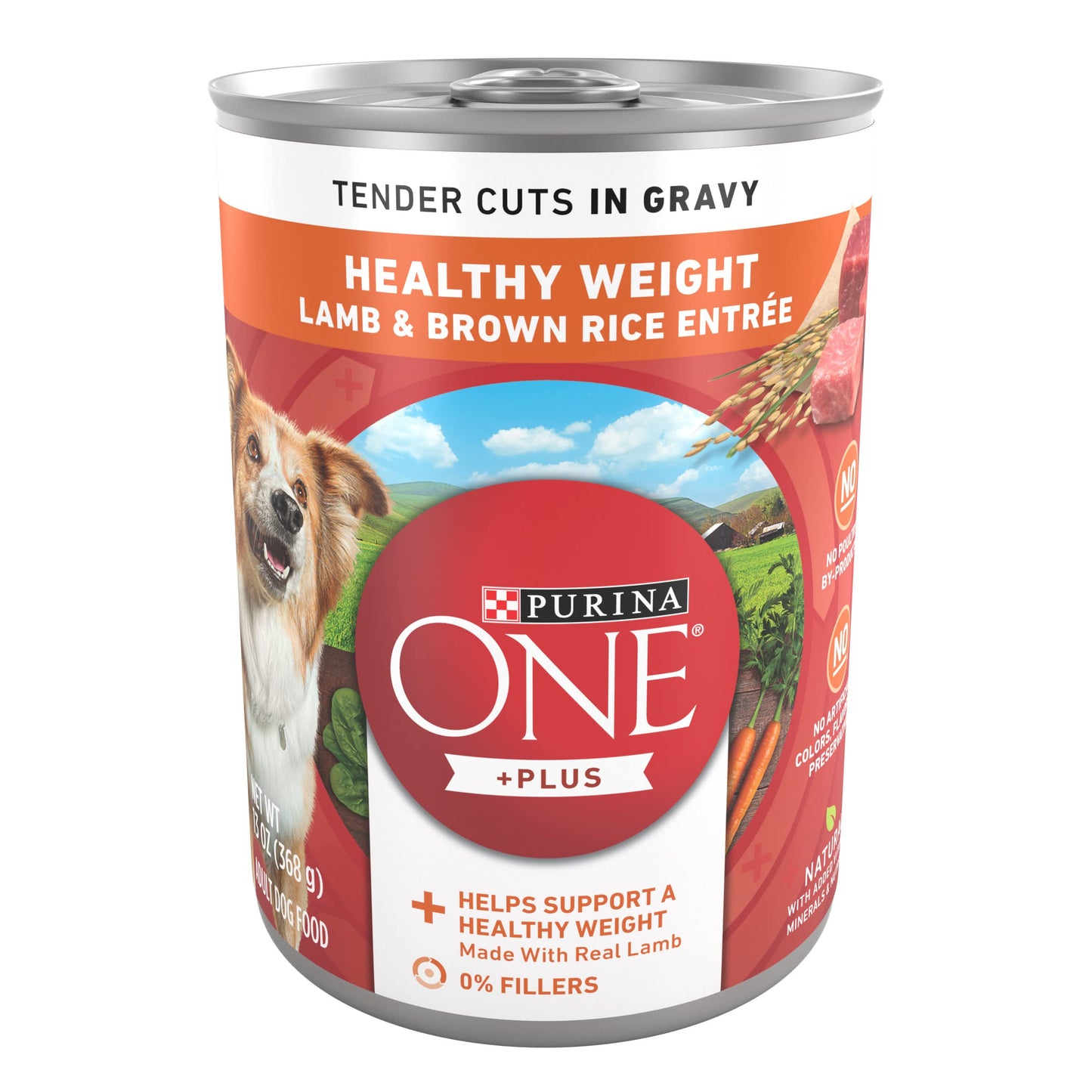 Purina ONE Classic Ground Chicken and Brown Rice, and Beef and Brown Rice Entrees Wet Dog Food Variety Pack - (Pack of 6) 13 oz. Cans