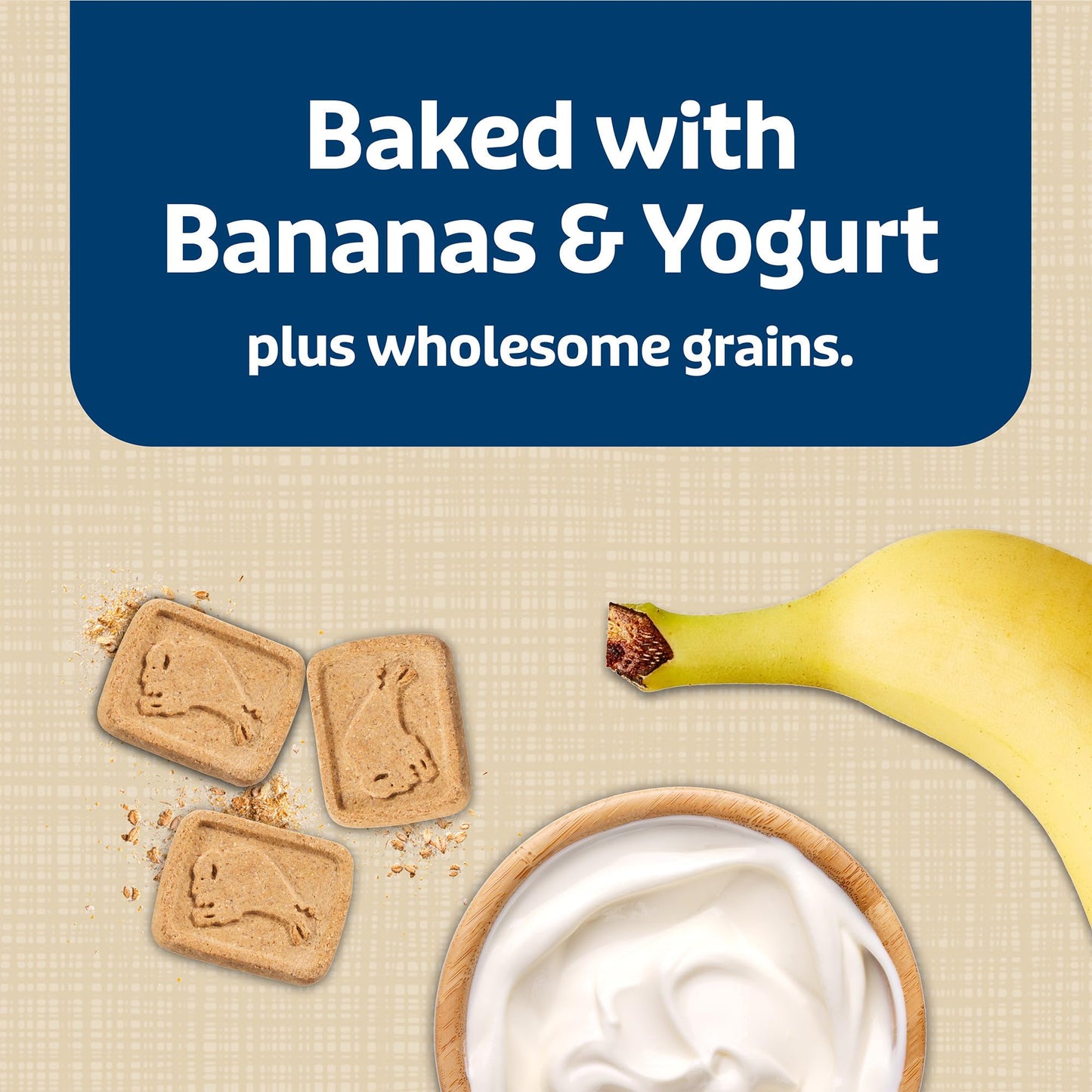 Blue Buffalo Health Bars Crunchy Dog Biscuits, Oven-Baked With Natural Ingredients, Pumpkin & Cinnamon, 16-oz Bag