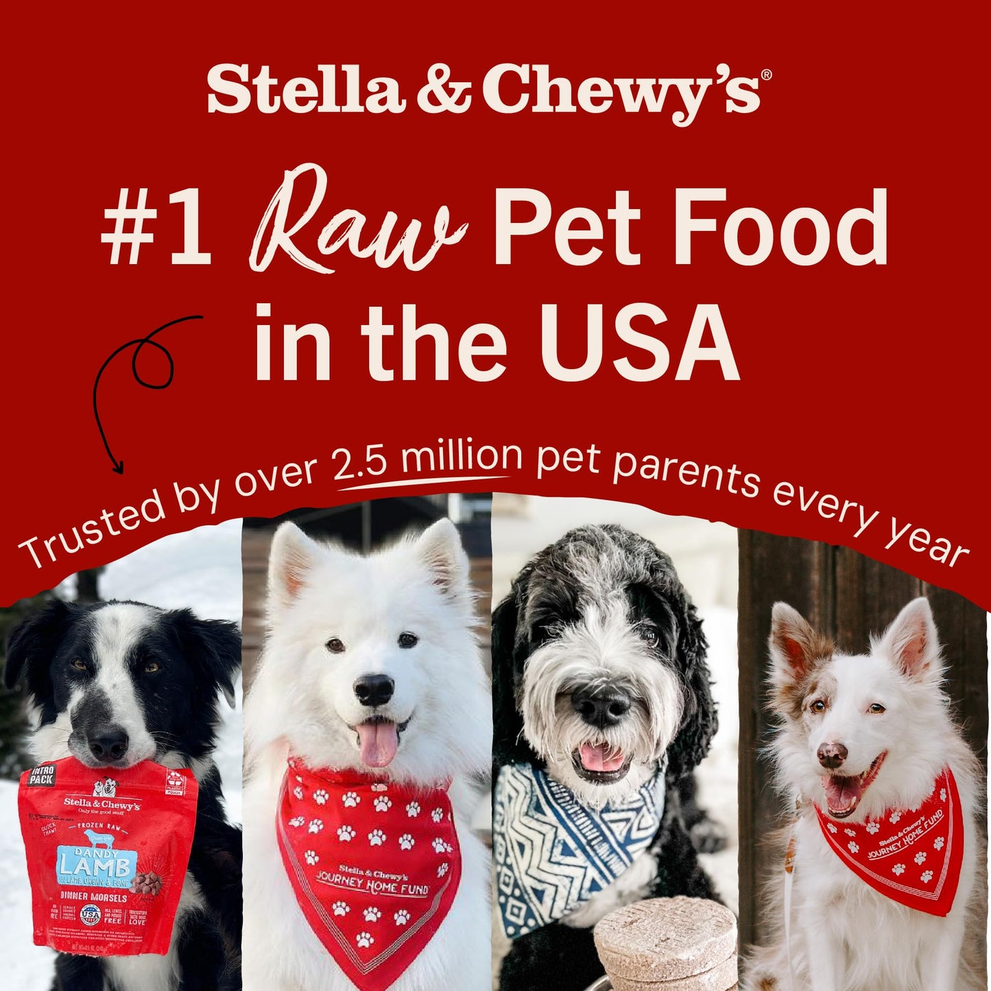 Stella & Chewy's Freeze-Dried Raw Chicken Meal Mixers- Dog Food Topper and Mixer - Made with 95% Cage-Free Chicken, Organs & Bone - Perfect for Picky Eaters - Grain-Free - 3.5oz