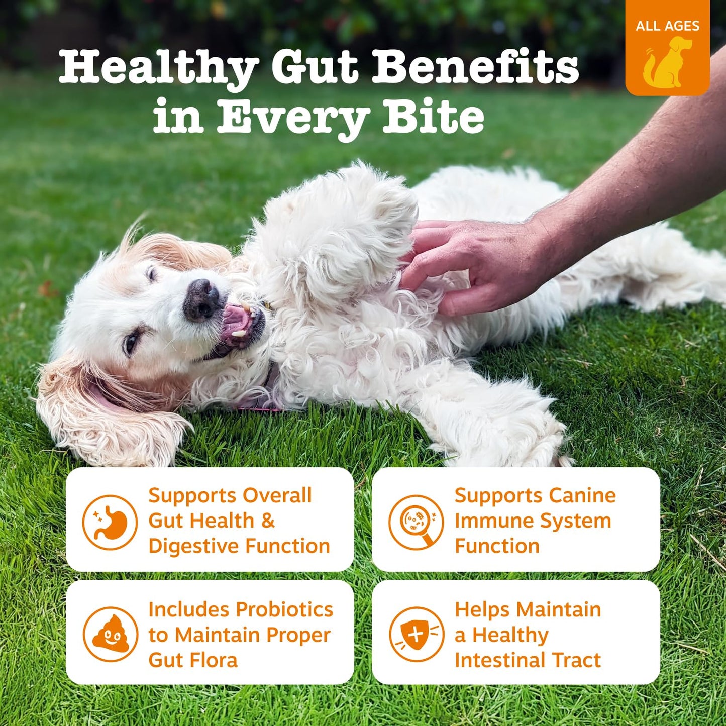 Zesty Paws Probiotics for Dogs - Digestive Enzymes for Gut Flora, Digestive Health, Diarrhea & Bowel Support - Clinically Studied DE111 - Dog Supplement Soft Chew for Pet Immune System - Pumpkin