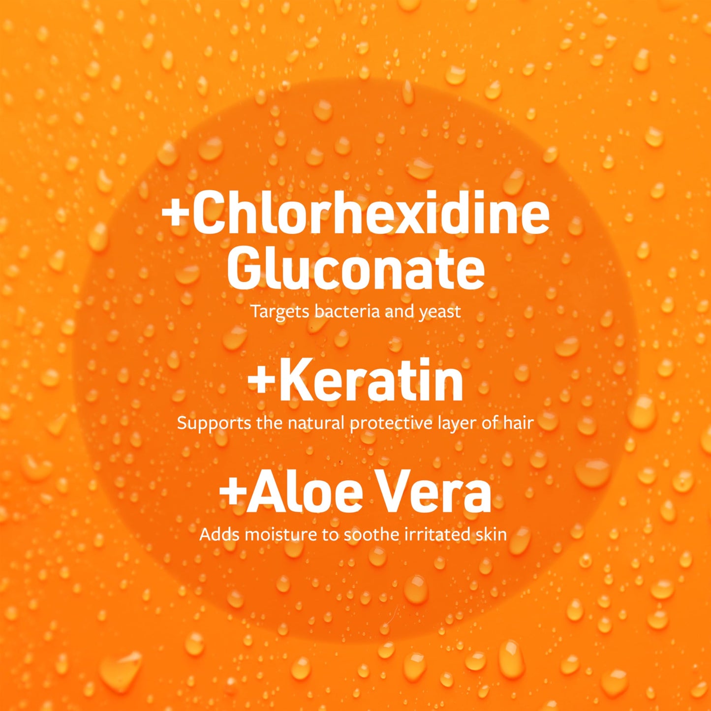 Veterinary Formula Clinical Care Antiseptic and Antifungal Medicated Shampoo for Dogs & Cats, 16 Fl Oz – Helps Alleviate Scaly, Greasy, red Skin – Paraben, Dye, Soap-Free (1 Pack)