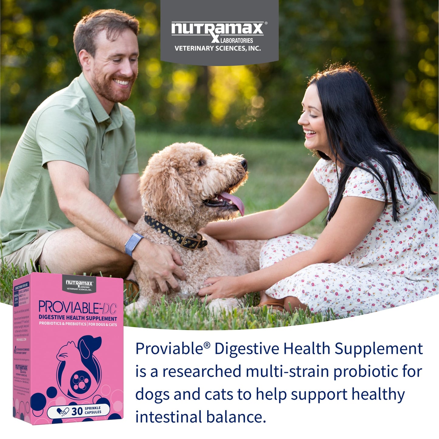 Nutramax Proviable Probiotics for Dogs and Cats, Daily Digestive Health Supplement with Multiple Strains of Bacteria, Cat and Dog Probiotics Plus Prebiotics, 30 Capsules