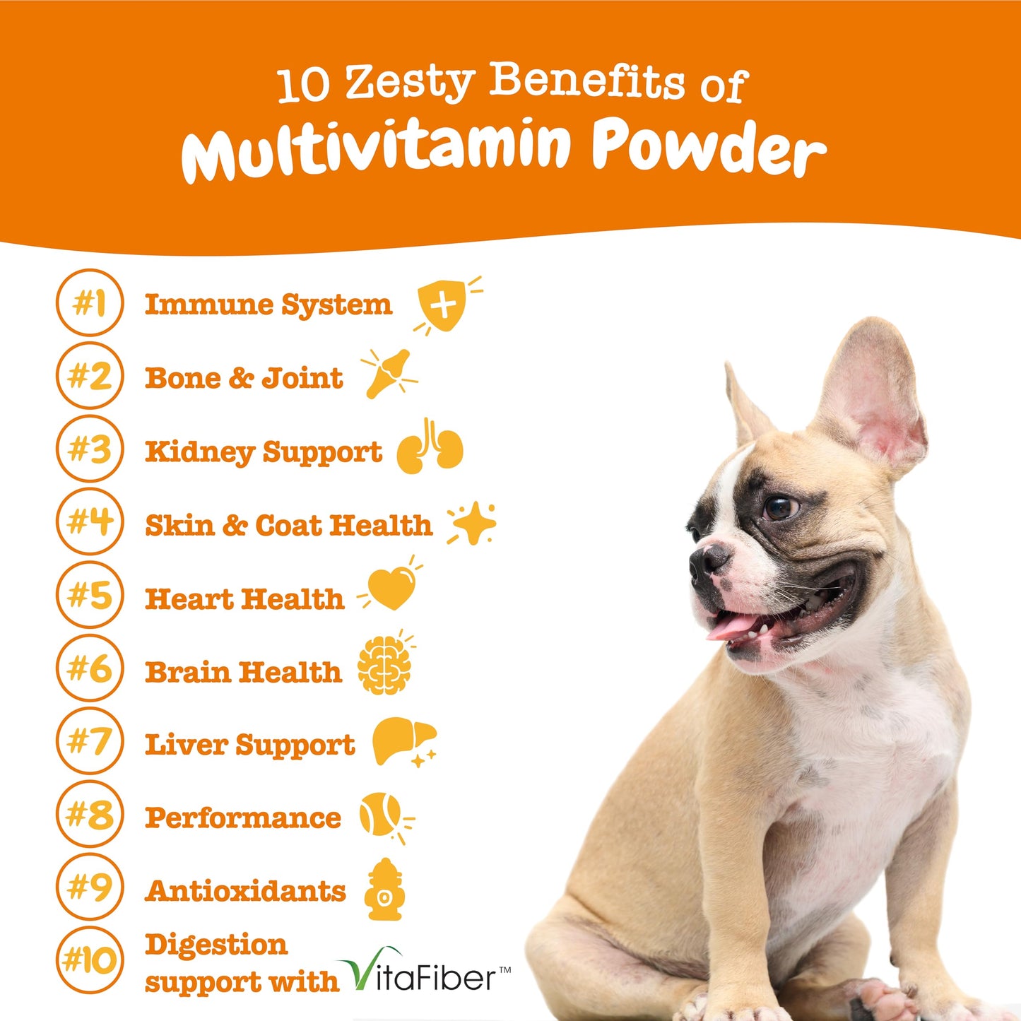 Zesty Paws Dog Multivitamin, Chewable Dog Vitamins and Supplements for Hip & Joints, Skin & Coat, Omega 3 Fish Oil for Dogs- Senior & Puppy Multivitamin- Chicken- 90ct
