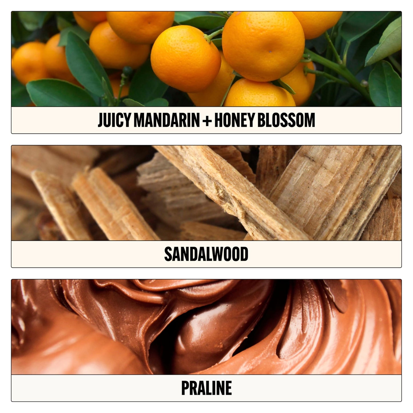 Le Monde Gourmand Pistachio Brûlée Eau de Parfum - 1 fl oz (30 ml) - Nutty, Vanilla Perfume Notes