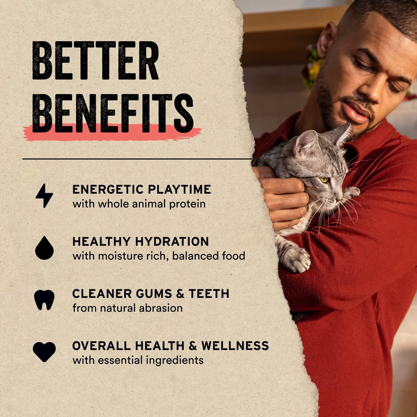 Vital Essentials Minnows Cat Treats, 0.5 oz | Freeze-Dried Raw | Single Ingredient | Grain Free, Gluten Free, Filler Free