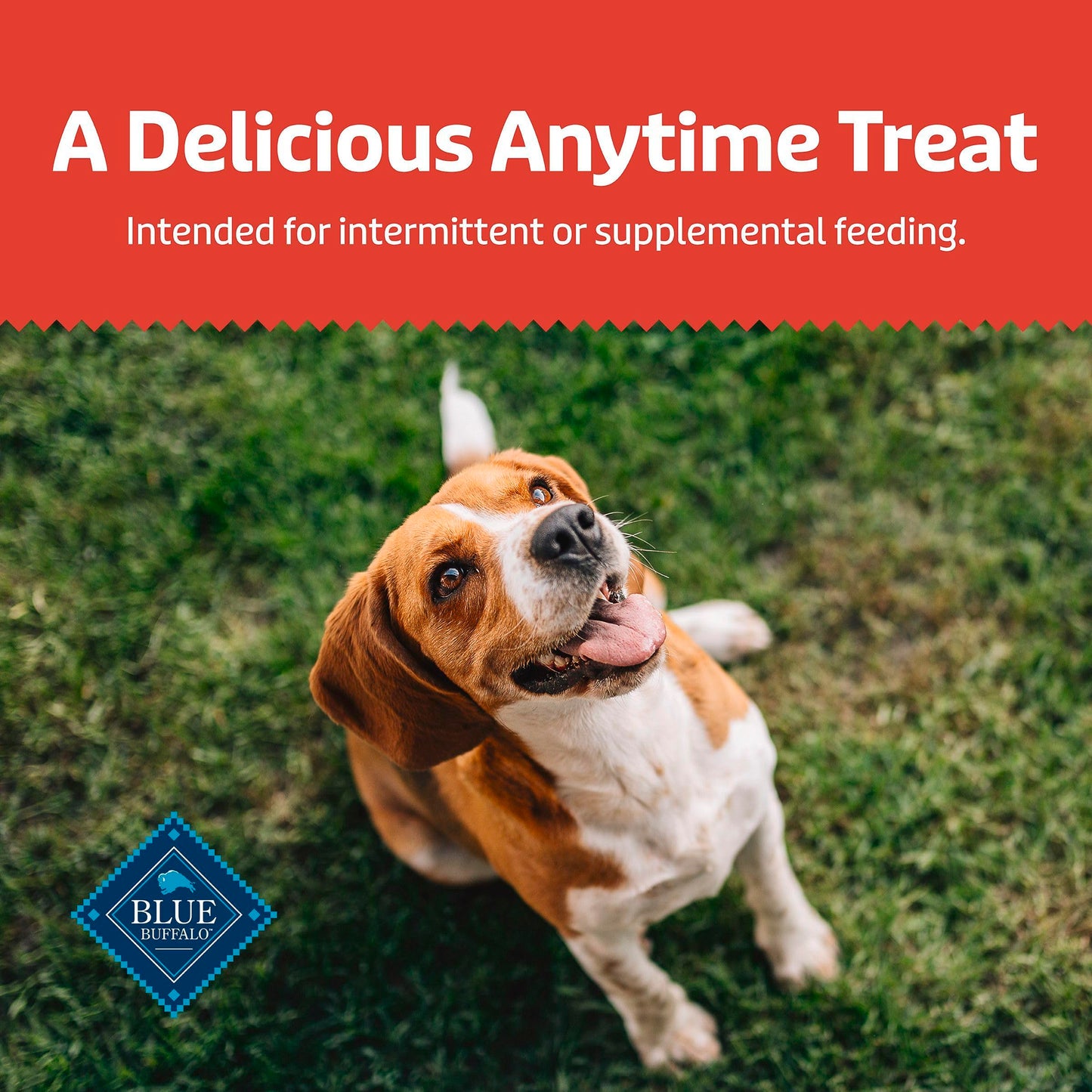 Blue Buffalo Health Bars Crunchy Dog Biscuits, Oven-Baked With Natural Ingredients, Pumpkin & Cinnamon, 16-oz Bag