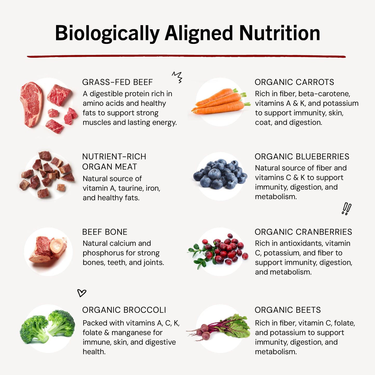 Stella & Chewy's Freeze-Dried Raw Dinner Patties - Dandy Lamb Recipe - High Protein Grain-Free Puppy & Dog Food - Perfect For Picky Eaters - 5.5 oz