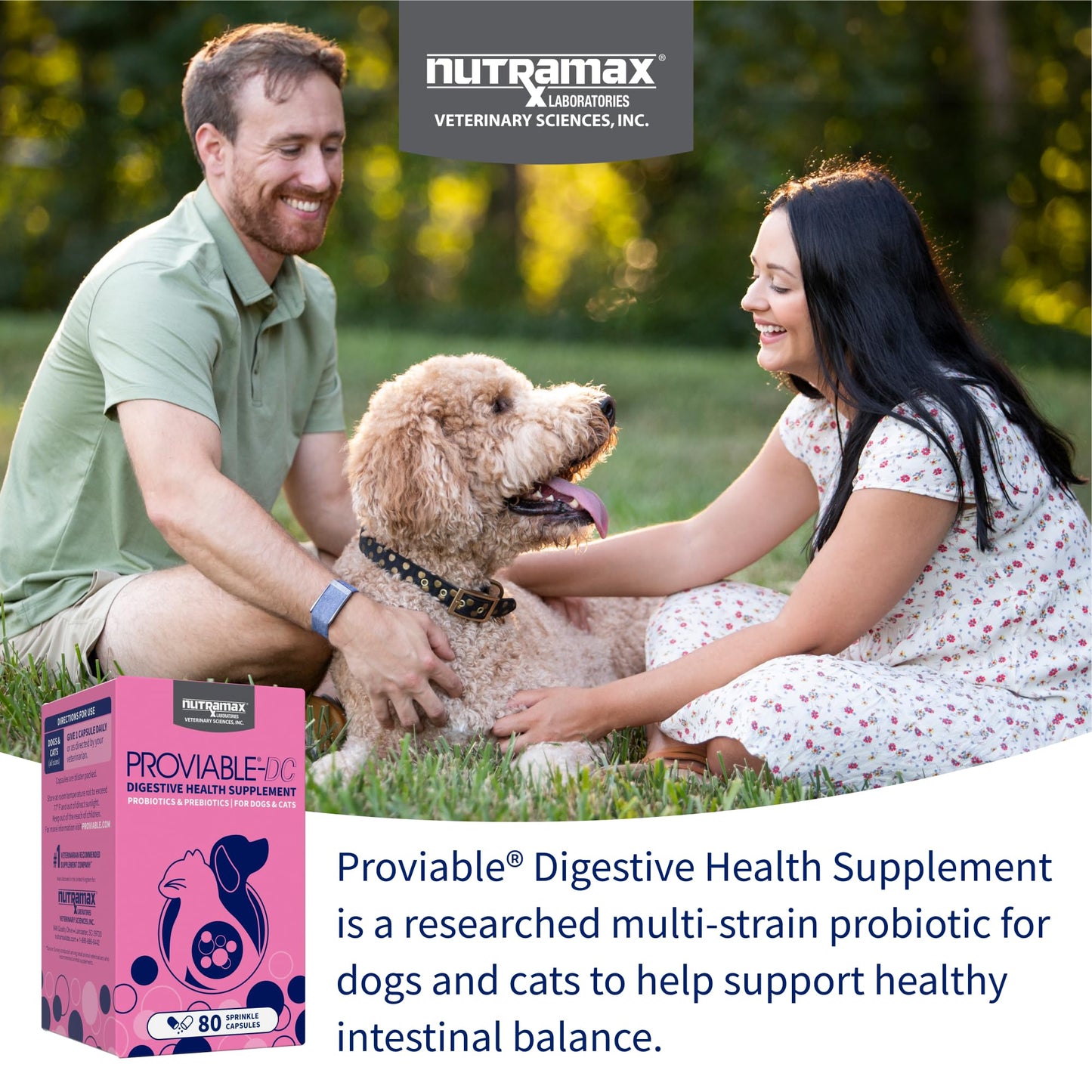 Nutramax Proviable Probiotics for Dogs and Cats, Daily Digestive Health Supplement with Multiple Strains of Bacteria, Cat and Dog Probiotics Plus Prebiotics, 30 Capsules