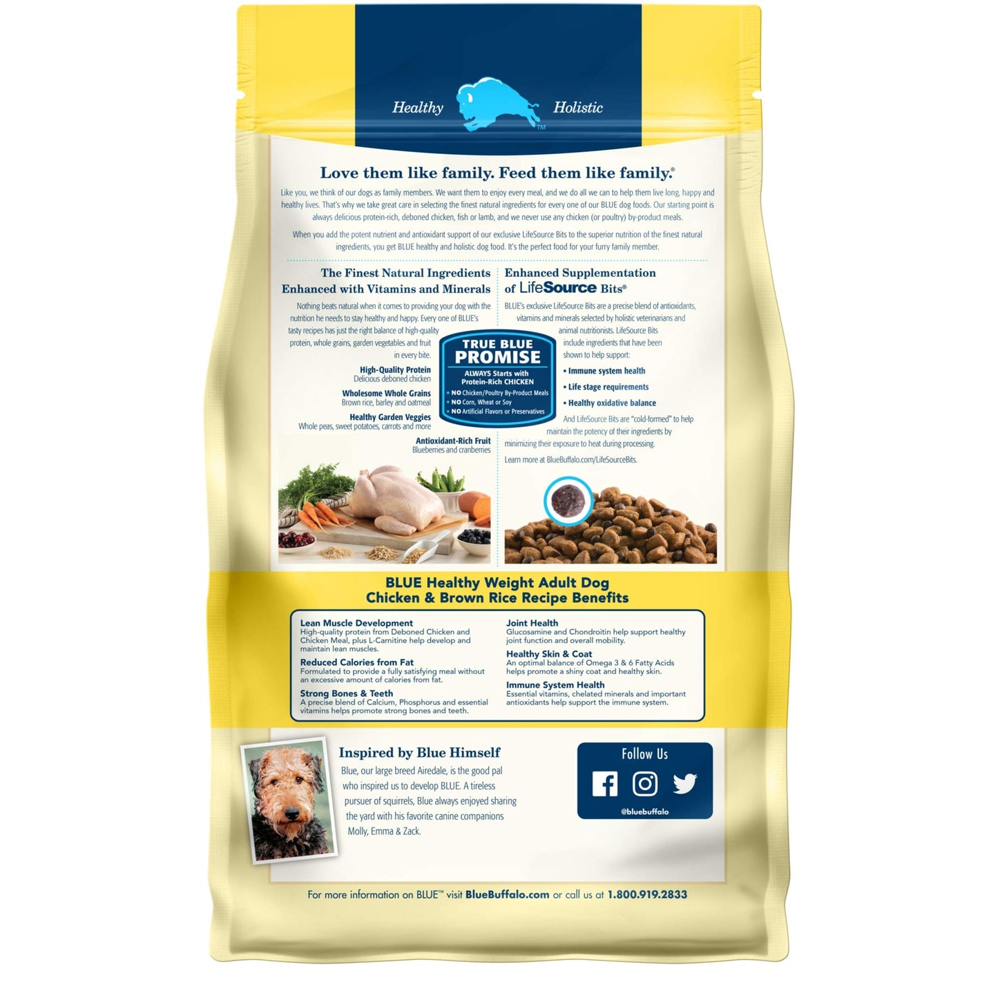 Blue Buffalo Life Protection Formula Natural Adult Small Breed Dry Dog Food, Chicken and Brown Rice 5-lb Trial Size Bag