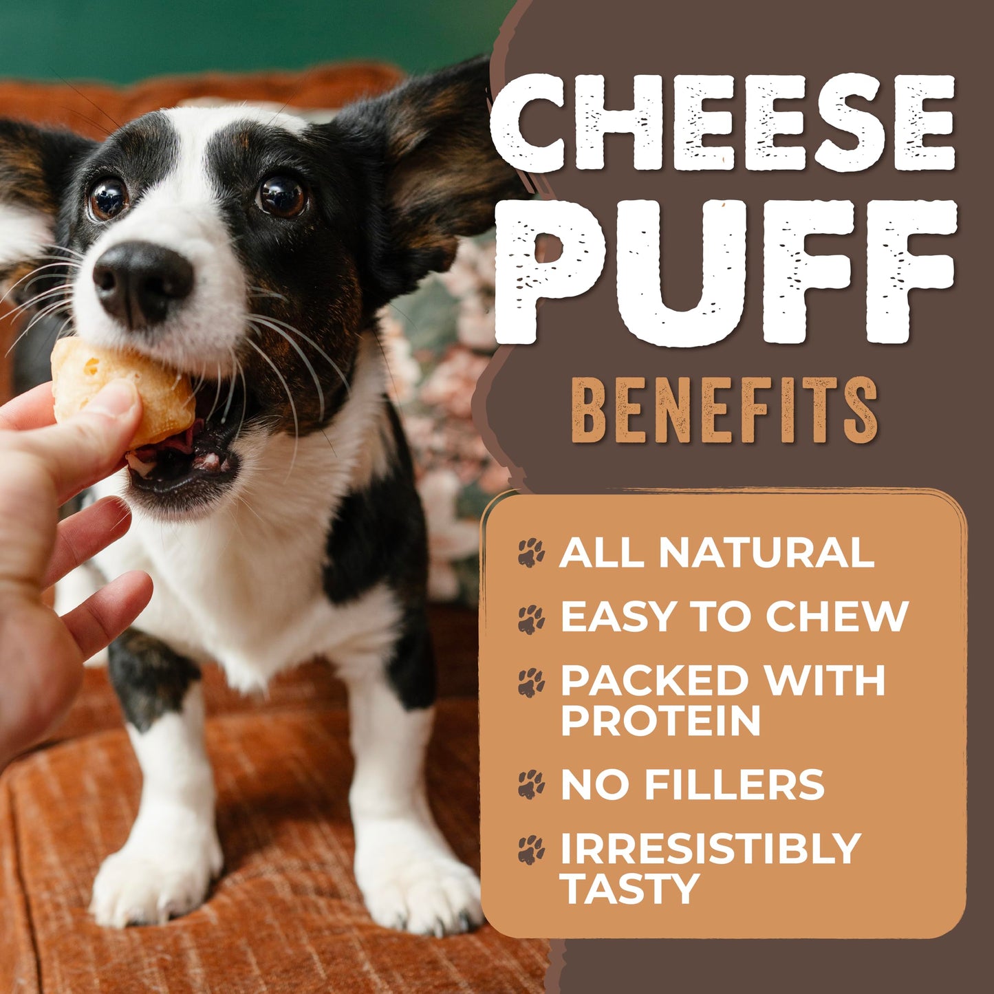 Mighty Paw Yak Cheese Dog Chews – All-Natural Long Lasting Hard Chew for Aggressive Chewers – High Protein, Odor-Free Dog Treat – 3 Ingredient Natural Yak Chews for Large Dogs – (4 Pack)