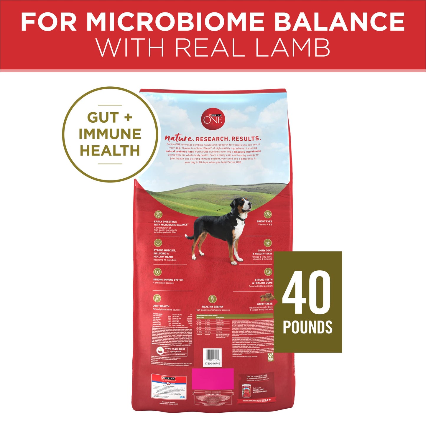 Purina ONE Dry Dog Food Lamb and Rice Formula - 31.1 lb. Bag