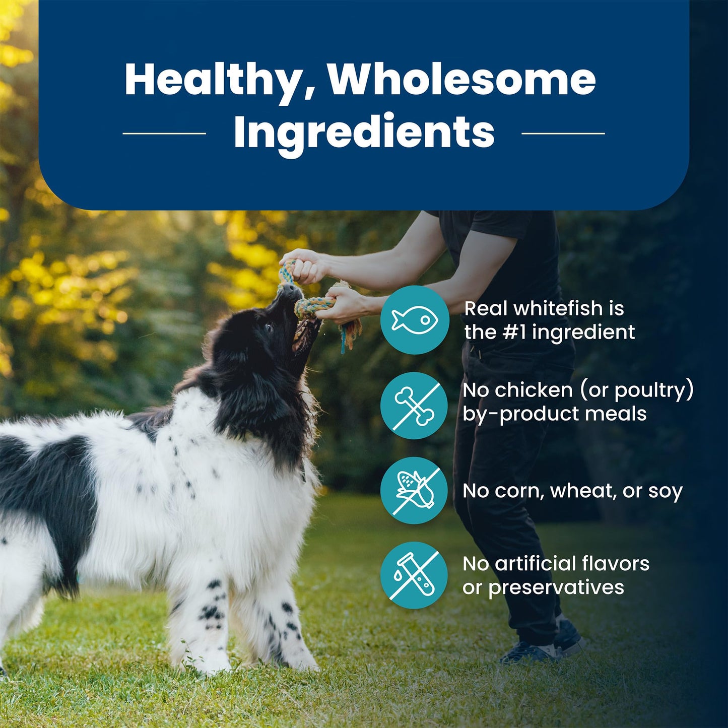 Blue Buffalo Life Protection Formula Natural Adult Small Breed Dry Dog Food, Chicken and Brown Rice 5-lb Trial Size Bag