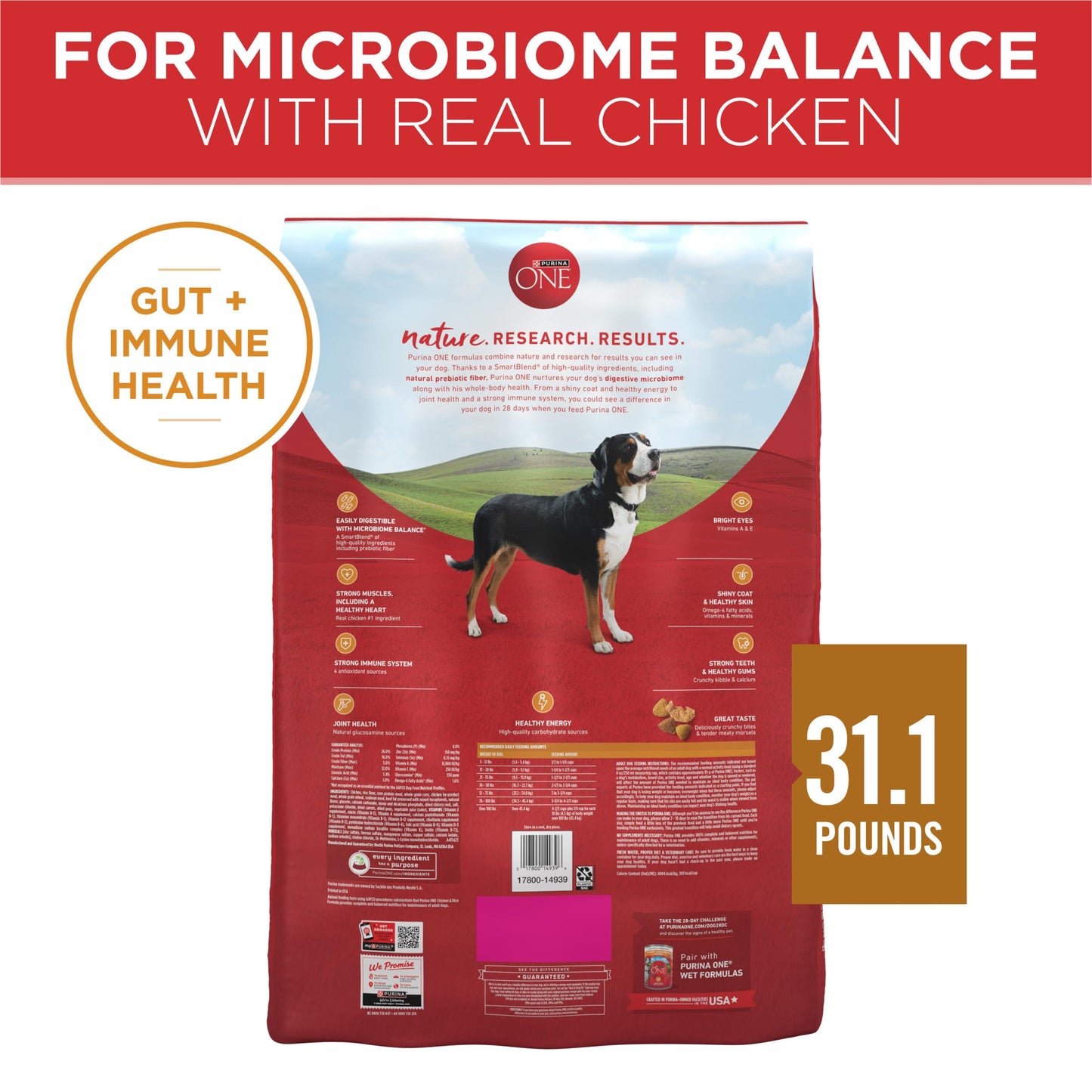 Purina ONE Dry Dog Food Lamb and Rice Formula - 31.1 lb. Bag