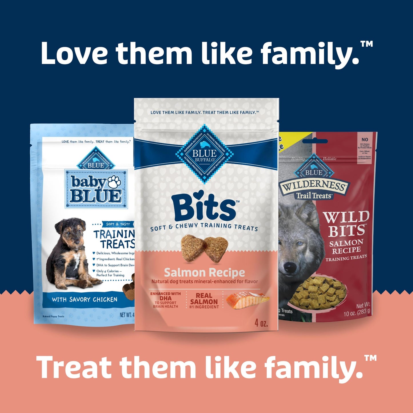 Blue Buffalo Bits Soft Dog Treats for Training, Made With Natural Ingredients & Enhanced with DHA, Chicken Recipe, 19-oz Bag