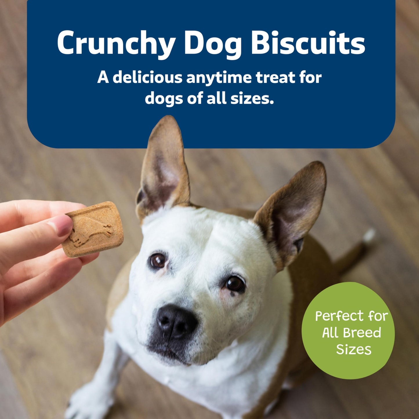 Blue Buffalo Health Bars Crunchy Dog Biscuits, Oven-Baked With Natural Ingredients, Pumpkin & Cinnamon, 16-oz Bag