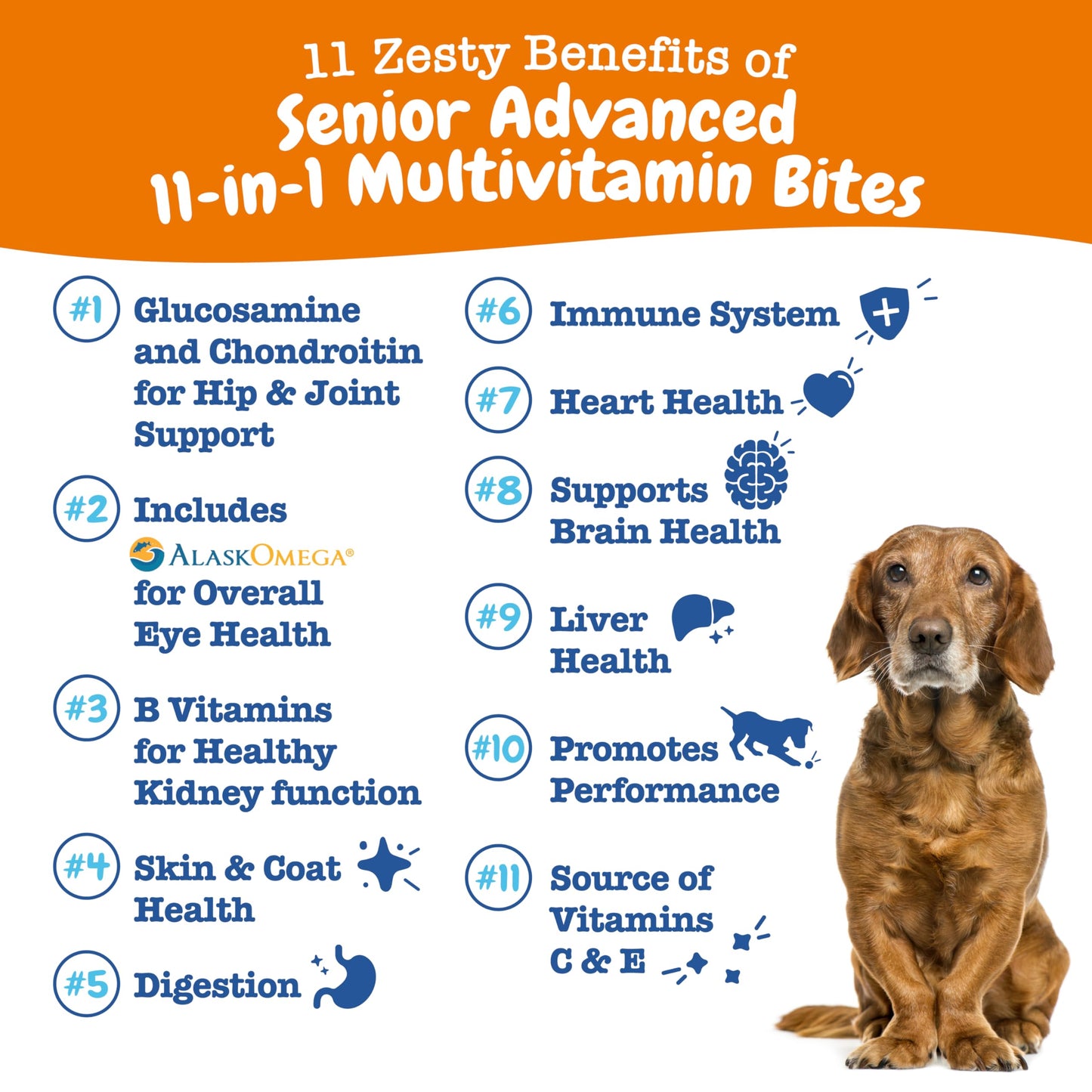 Zesty Paws Dog Multivitamin, Chewable Dog Vitamins and Supplements for Hip & Joints, Skin & Coat, Omega 3 Fish Oil for Dogs- Senior & Puppy Multivitamin- Chicken- 90ct