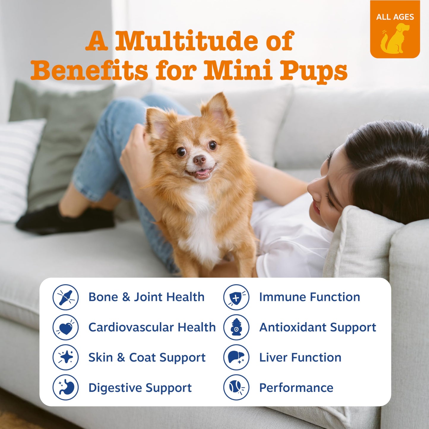Zesty Paws Dog Multivitamin, Chewable Dog Vitamins and Supplements for Hip & Joints, Skin & Coat, Omega 3 Fish Oil for Dogs- Senior & Puppy Multivitamin- Chicken- 90ct