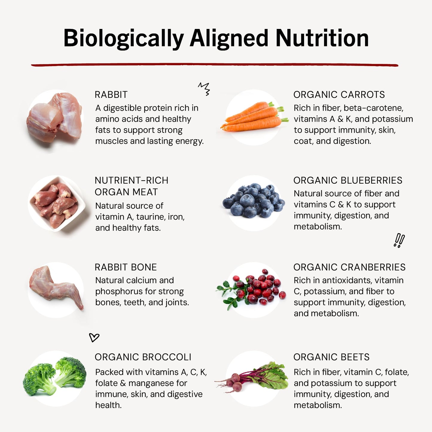 Stella & Chewy's Freeze-Dried Raw Dinner Patties - Dandy Lamb Recipe - High Protein Grain-Free Puppy & Dog Food - Perfect For Picky Eaters - 5.5 oz