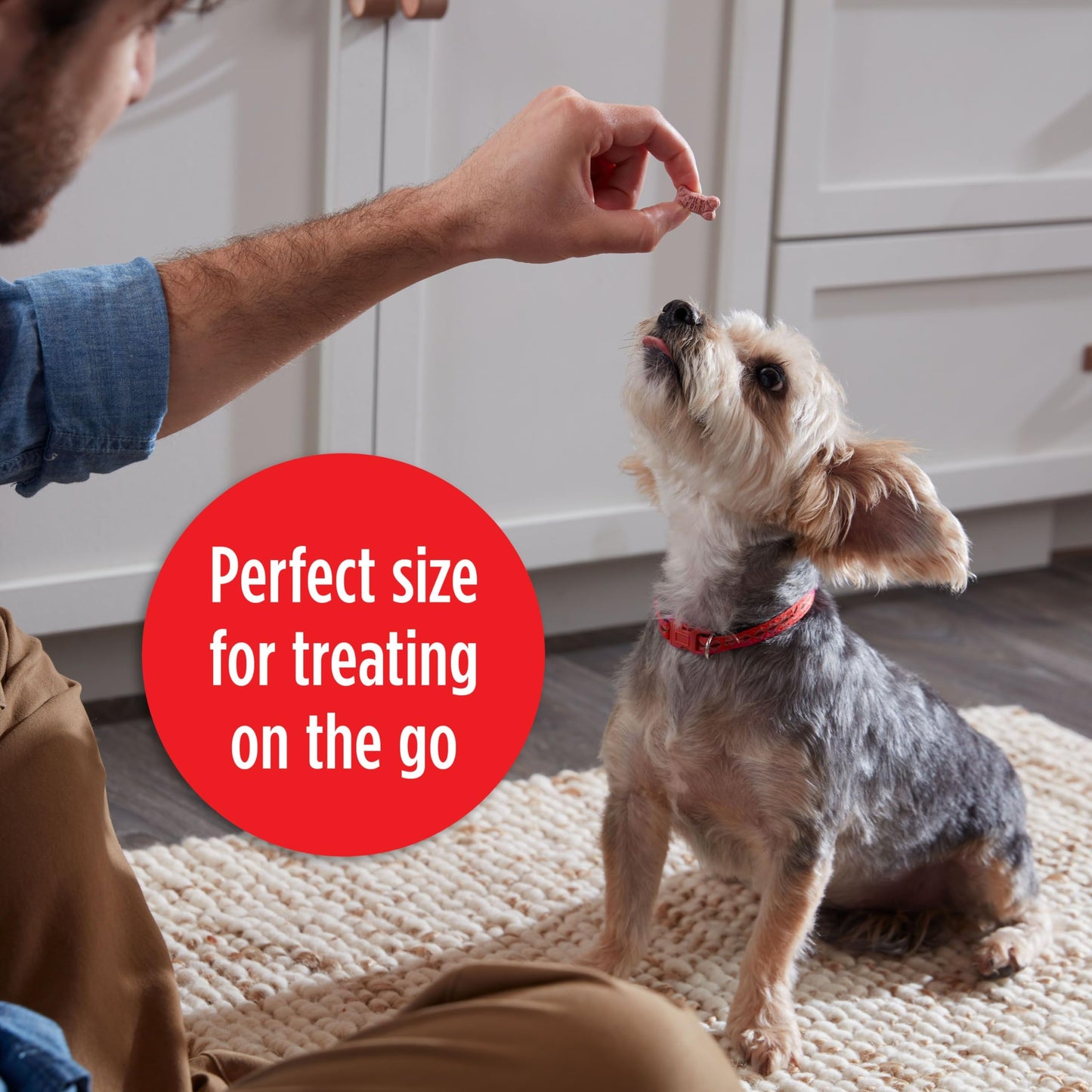 Milk-Bone Mini's Flavor Snacks Dog Treats, 36 Ounce