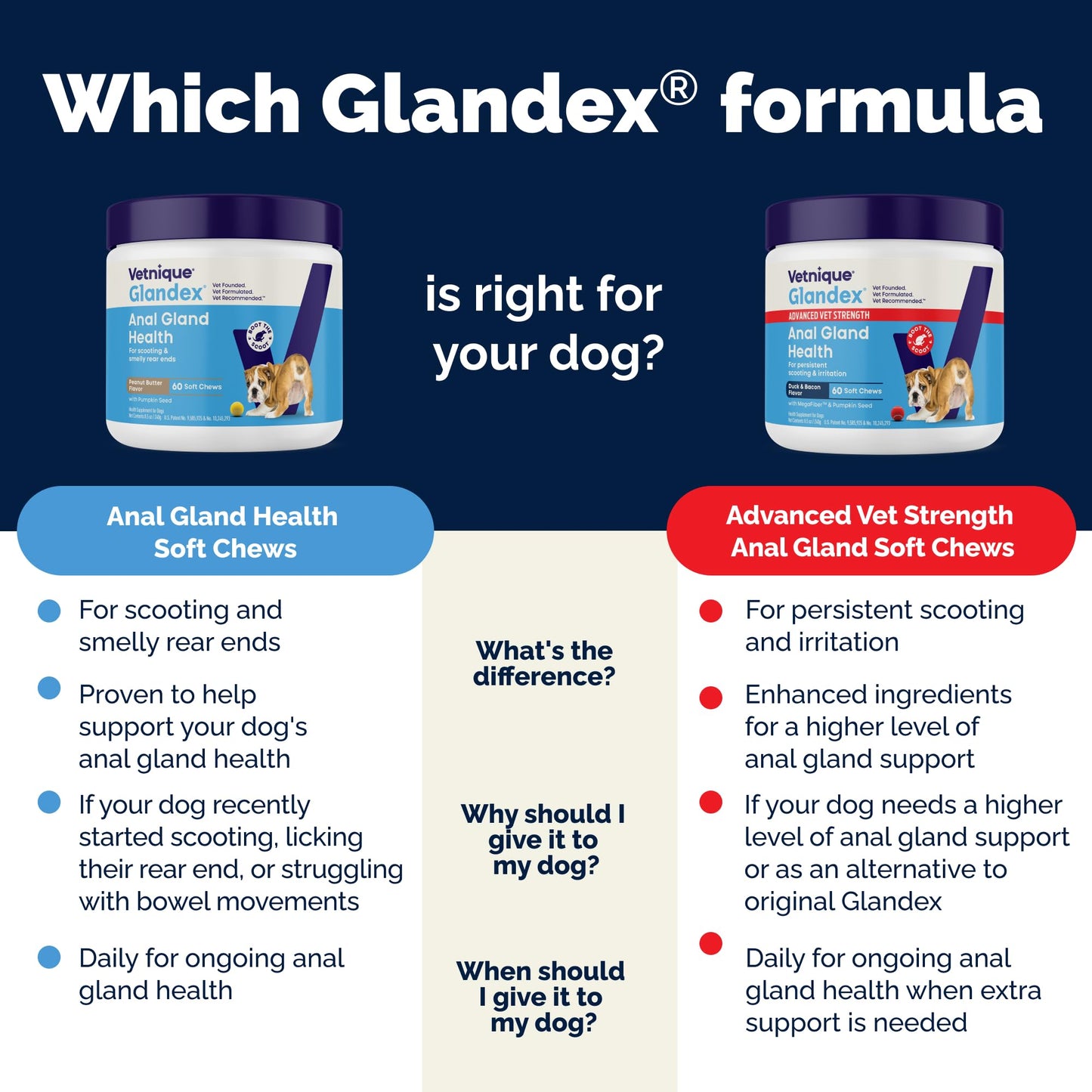 Vetnique Glandex Anal Gland Soft Chew Treats with Pumpkin for Dogs Digestive Enzymes, Probiotics Fiber Supplement for Dogs Boot The Scoot (Peanut Butter Chews, 60 Count)