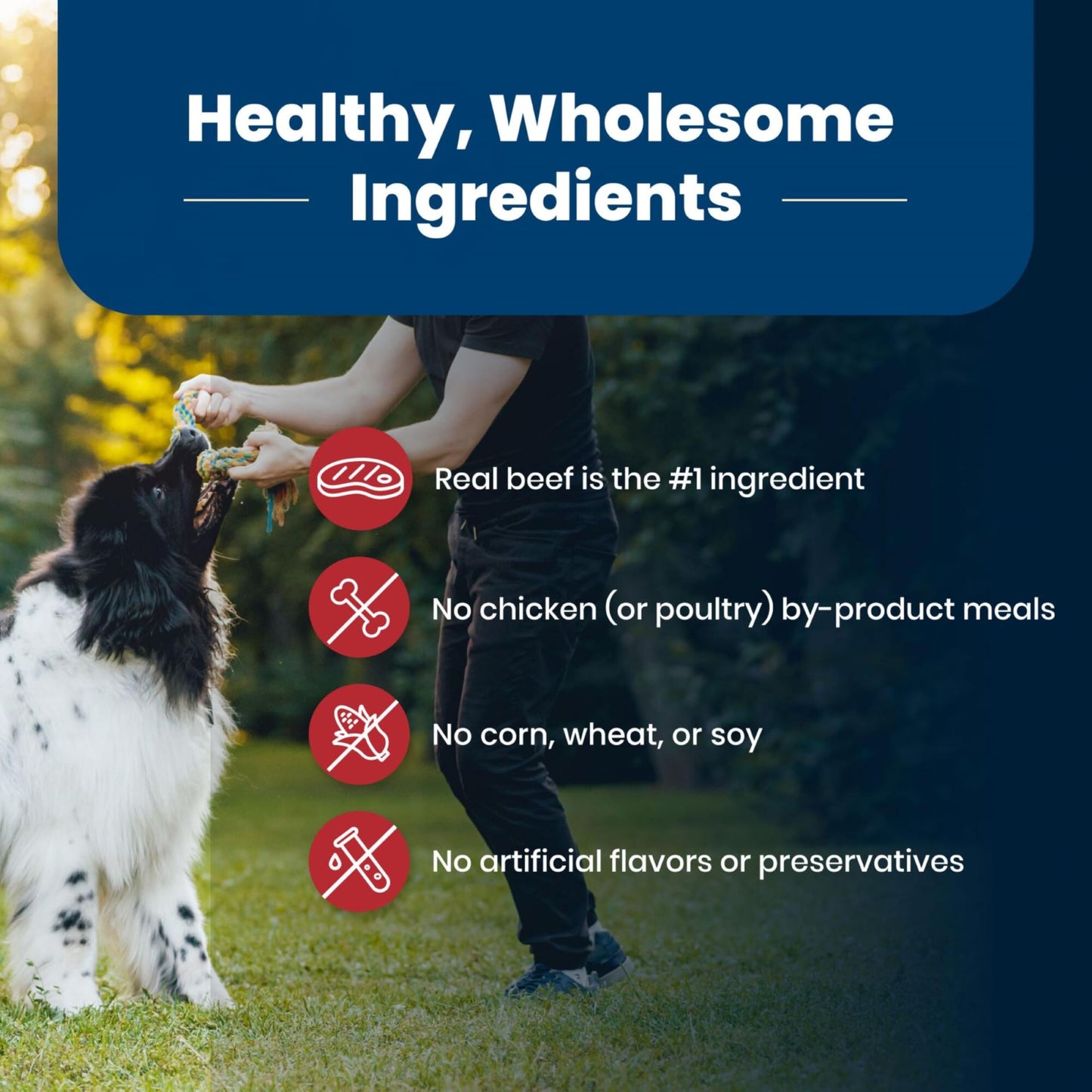 Blue Buffalo Life Protection Formula Natural Adult Small Breed Dry Dog Food, Chicken and Brown Rice 5-lb Trial Size Bag