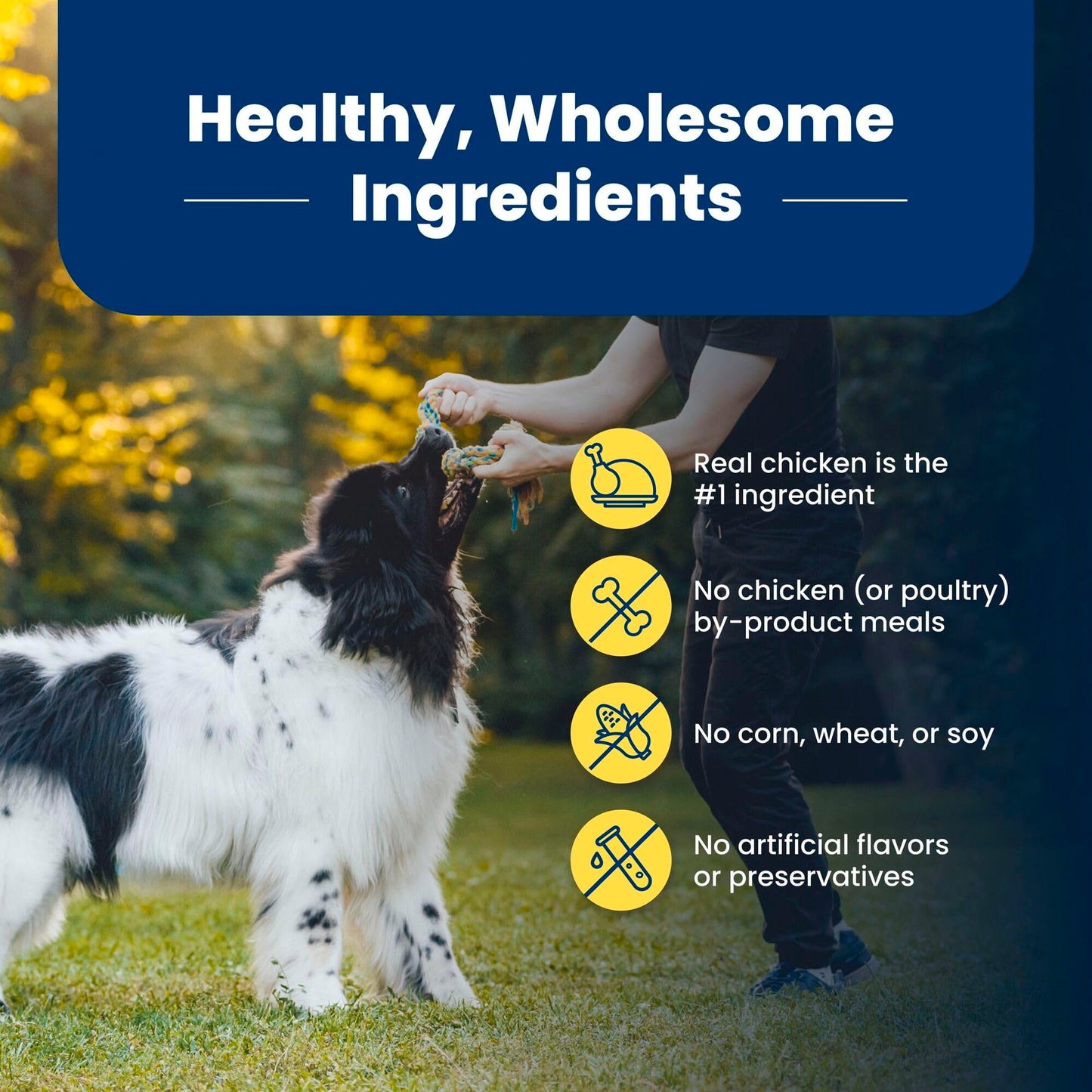 Blue Buffalo Life Protection Formula Natural Adult Dry Dog Food, Chicken and Brown Rice 5-lb Trial Size Bag