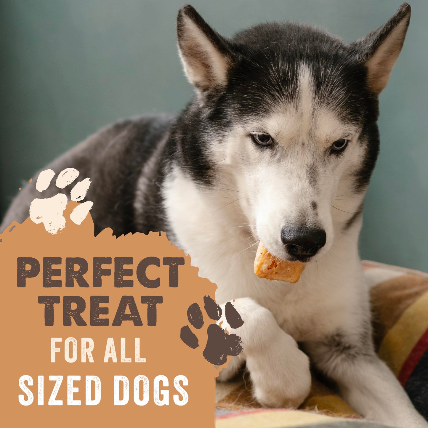 Mighty Paw Yak Cheese Dog Chews – All-Natural Long Lasting Hard Chew for Aggressive Chewers – High Protein, Odor-Free Dog Treat – 3 Ingredient Natural Yak Chews for Large Dogs – (4 Pack)