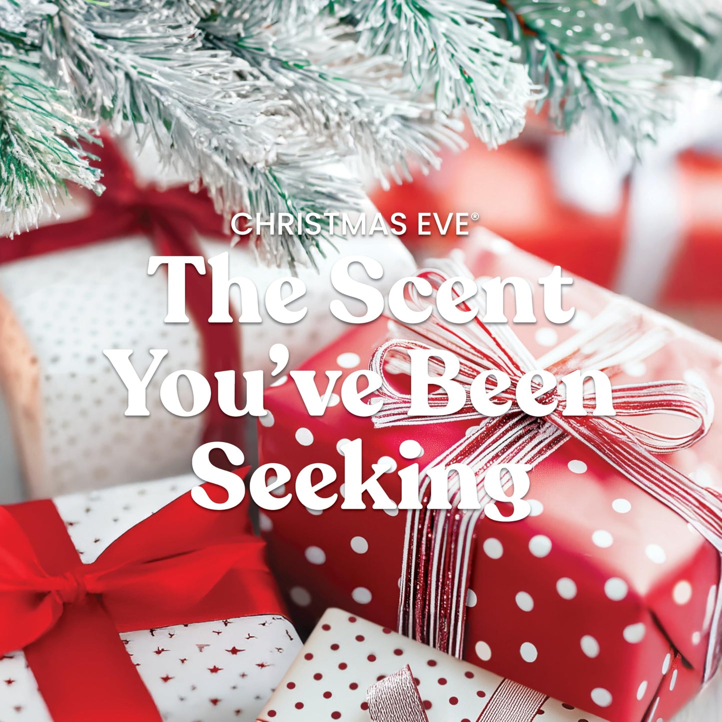 Yankee Candle Christmas Cookie, Scented Candle, 22oz Large Jar with up to 150 Hour Burn Time, Giftable, Holidays