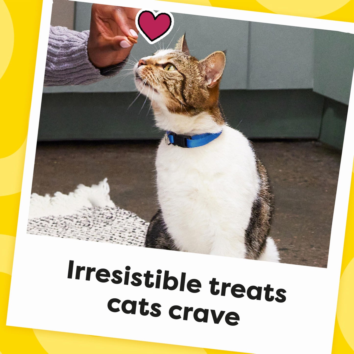 Temptations Classic Crunchy and Soft Cat Treats Tasty Chicken Flavor, 30 oz. Tub