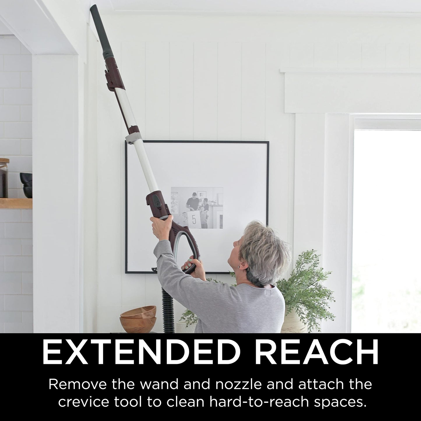 Shark NV752 Rotator Powered Lift-Away TruePet Upright Vacuum with HEPA Filter, Large Dust Cup Capacity, LED Headlights, Upholstery Tool, Perfect Pet Power Brush & Crevice Tool, Bordeaux