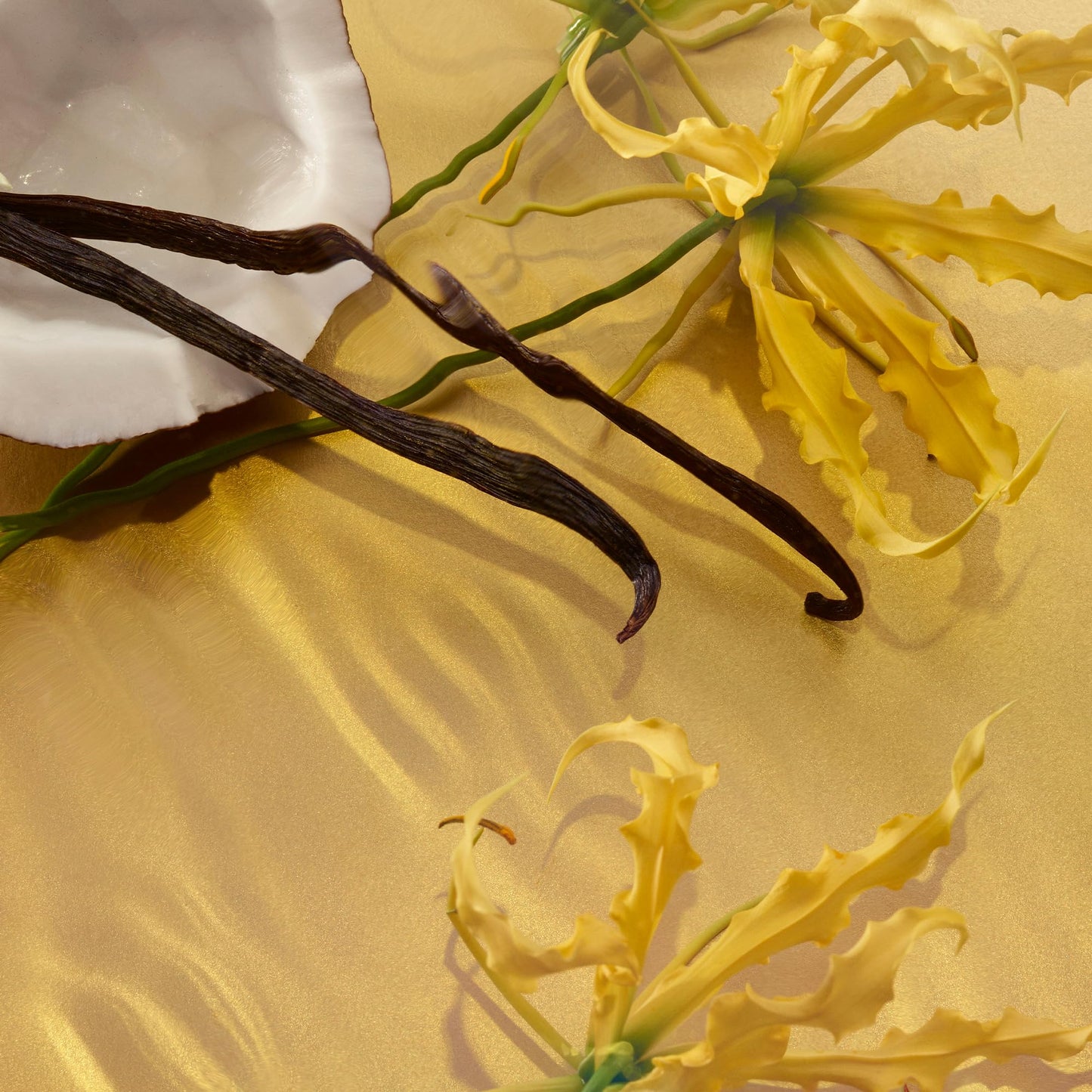 Le Monde Gourmand Pistachio Brûlée Eau de Parfum - 1 fl oz (30 ml) - Nutty, Vanilla Perfume Notes