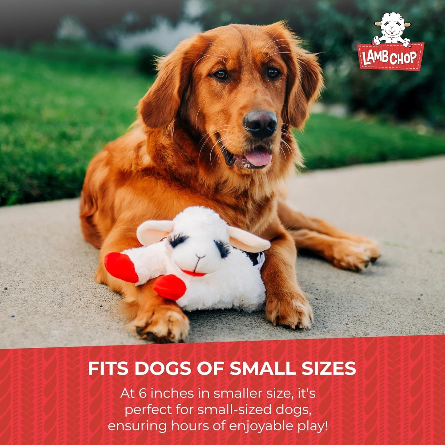 Multipet Lamb Chop Dog Plush Toy - Squeaky Toy for All Dogs - Extra Soft Plush - Stuffed Animal Dog Toy for Cuddling & Playing - Cute Pet Toy (6", Cream)